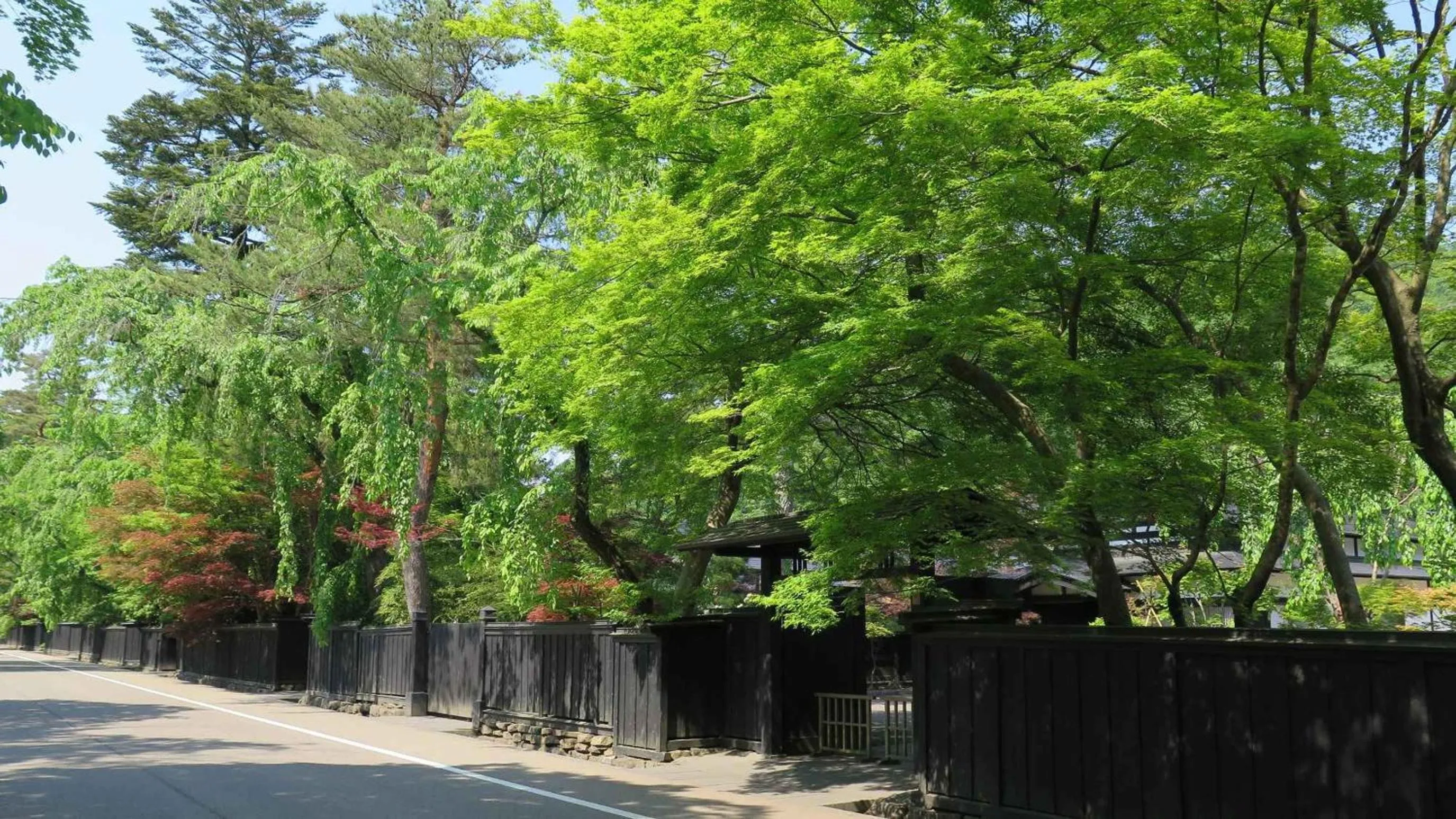 Natural landscape in Kashintei Shirahama