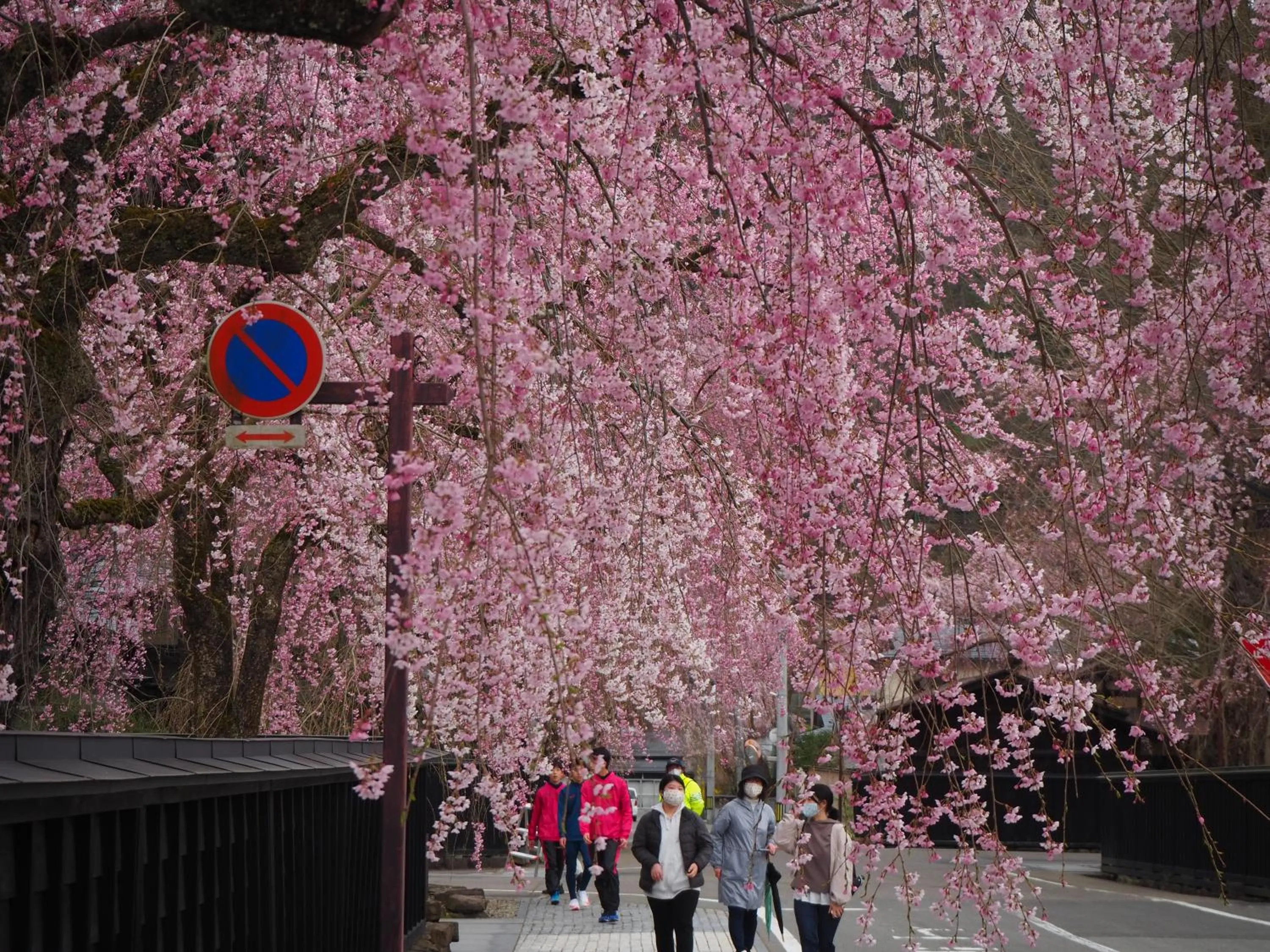 Nearby landmark in Katakurinohana