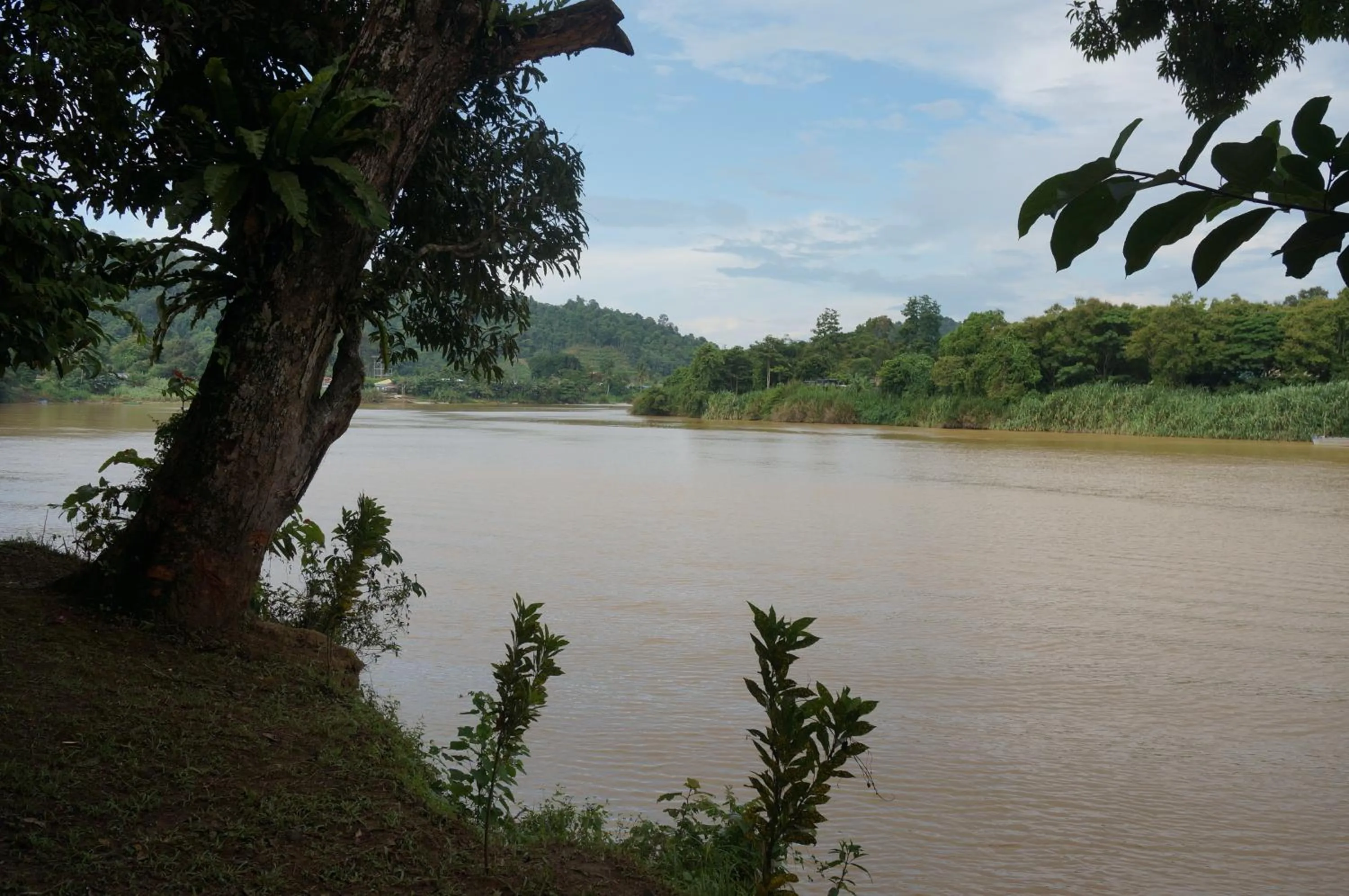 River view in Borneo Natural Sukau Bilit Resort