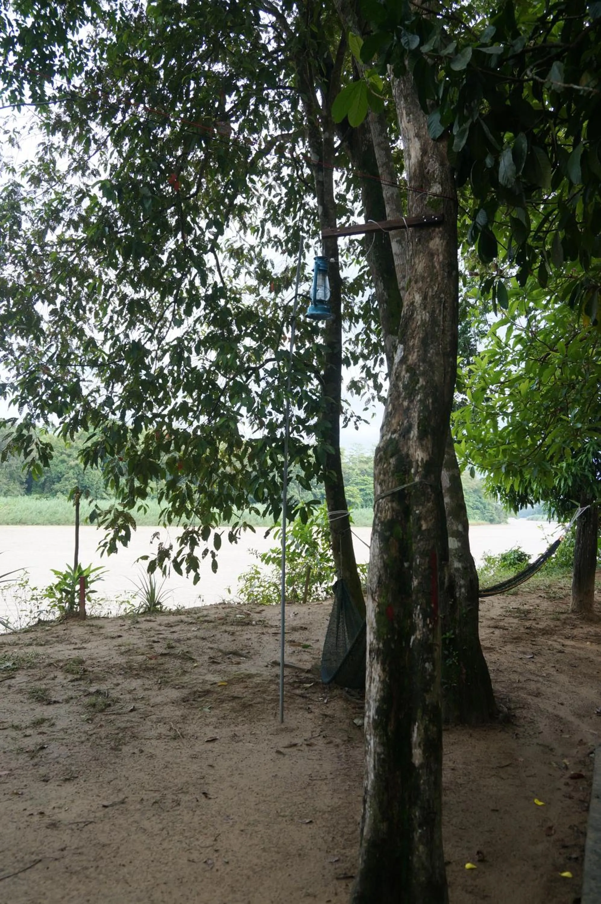 Natural landscape in Borneo Natural Sukau Bilit Resort