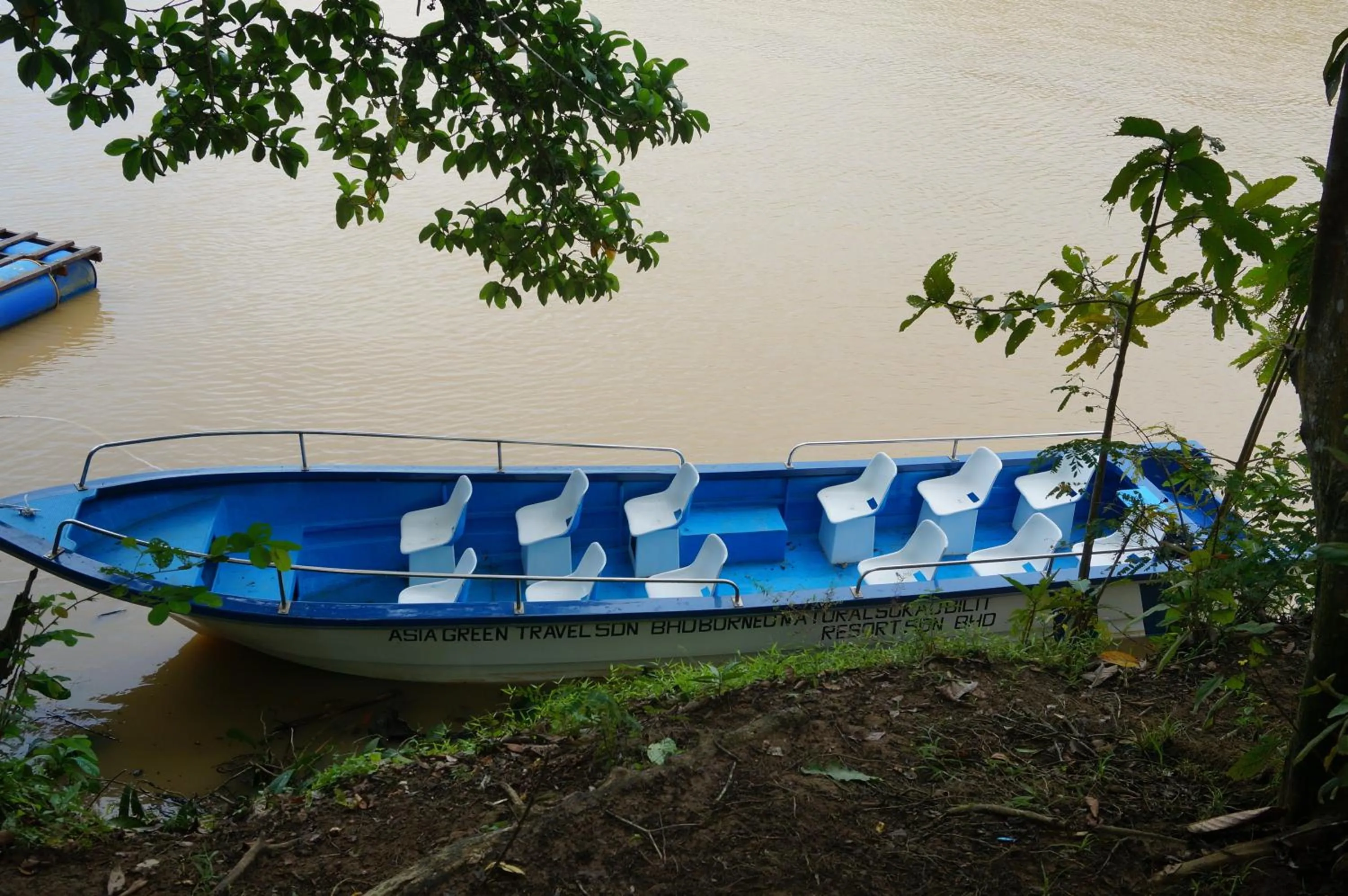 Activities in Borneo Natural Sukau Bilit Resort