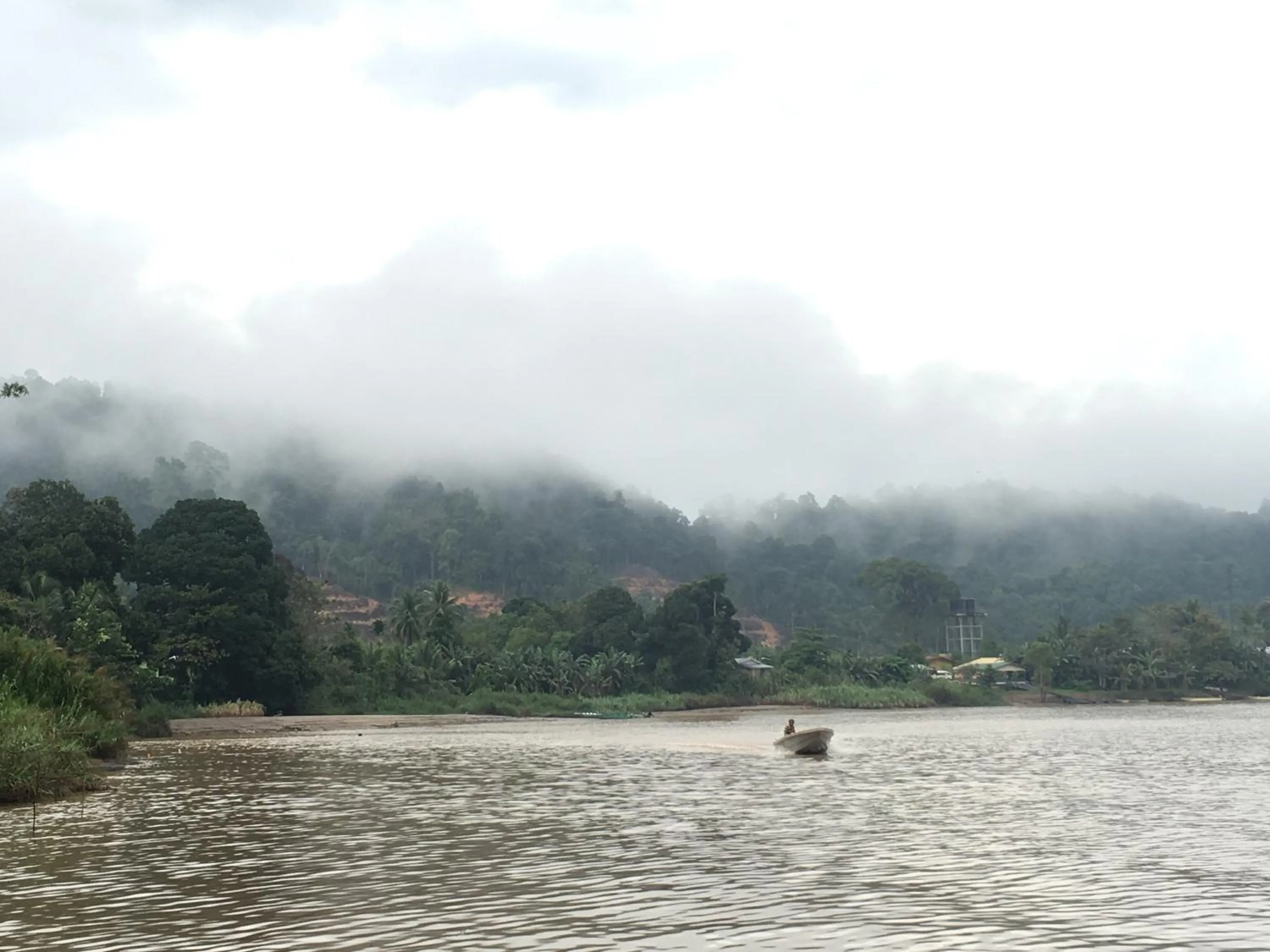 View (from property/room) in Borneo Natural Sukau Bilit Resort