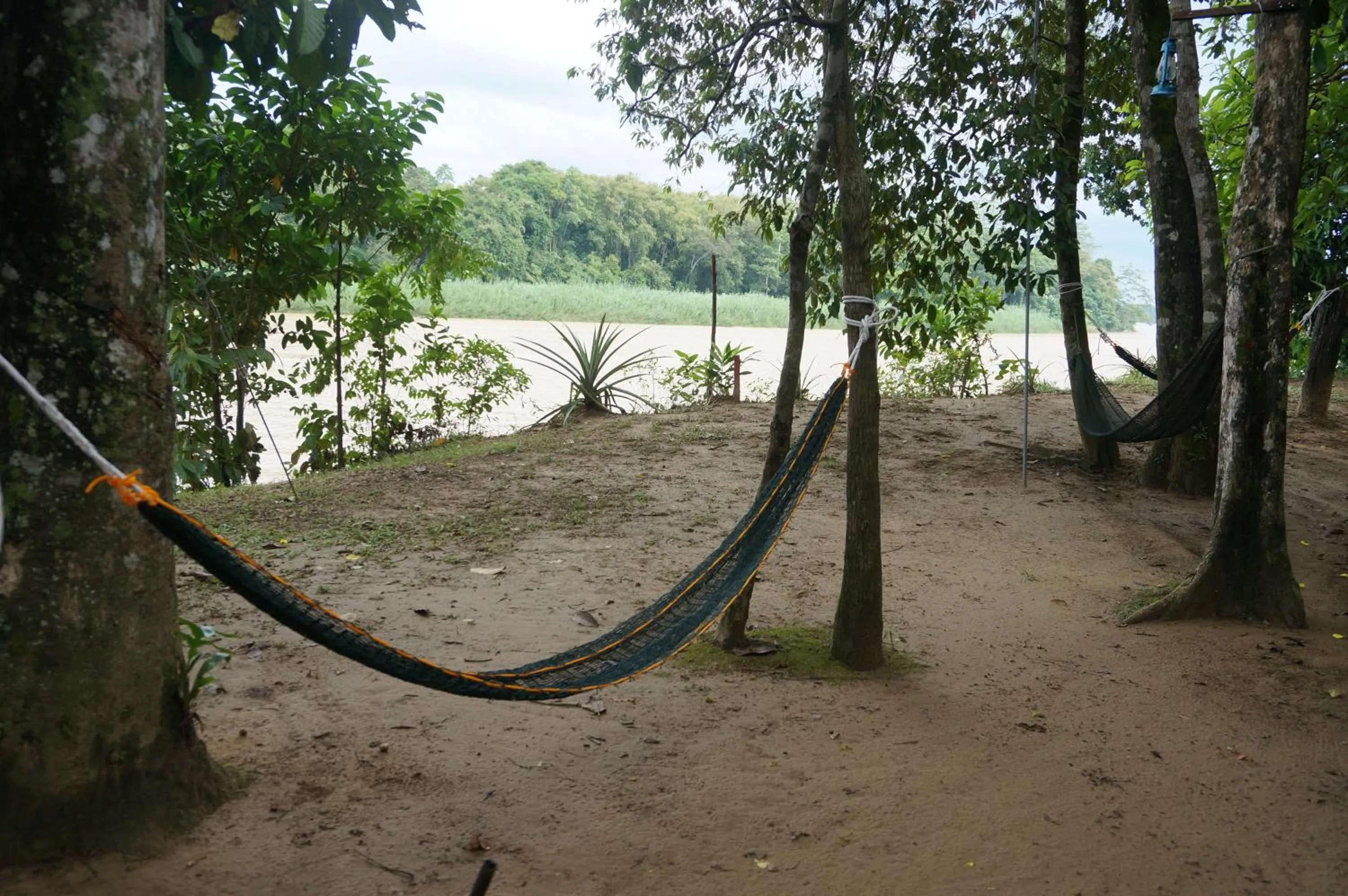 Natural landscape in Borneo Natural Sukau Bilit Resort