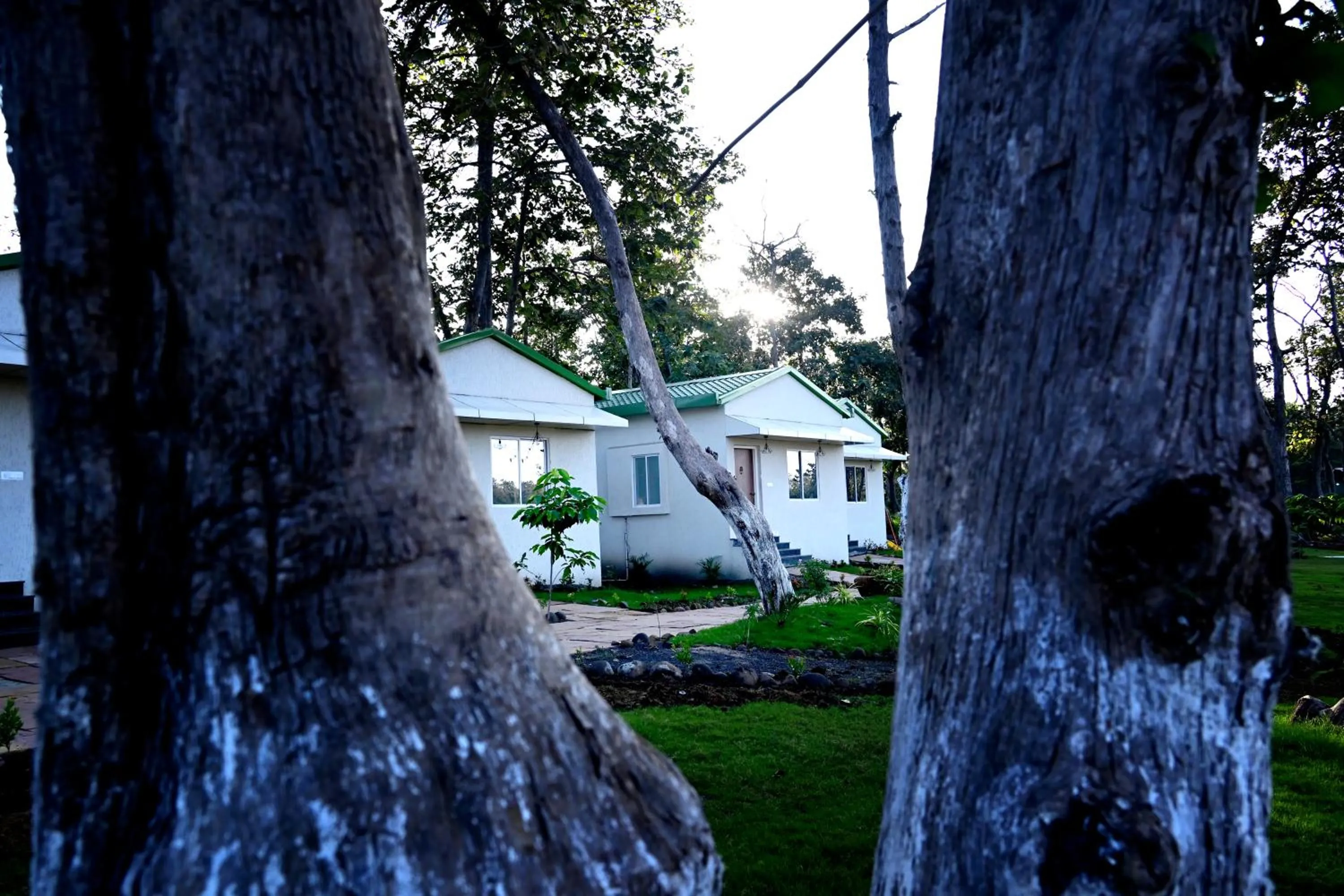 Natural landscape in The Golden Woods Resort