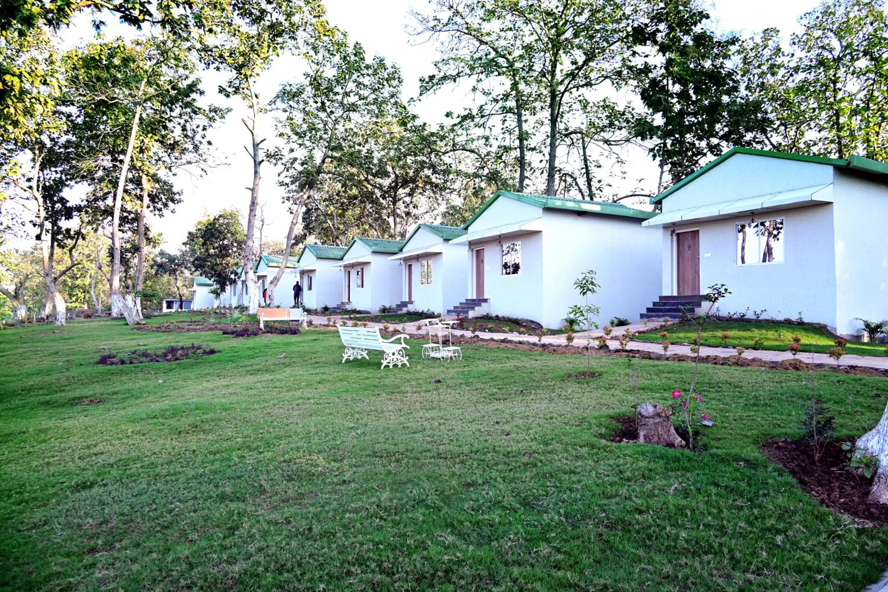 Day in The Golden Woods Resort