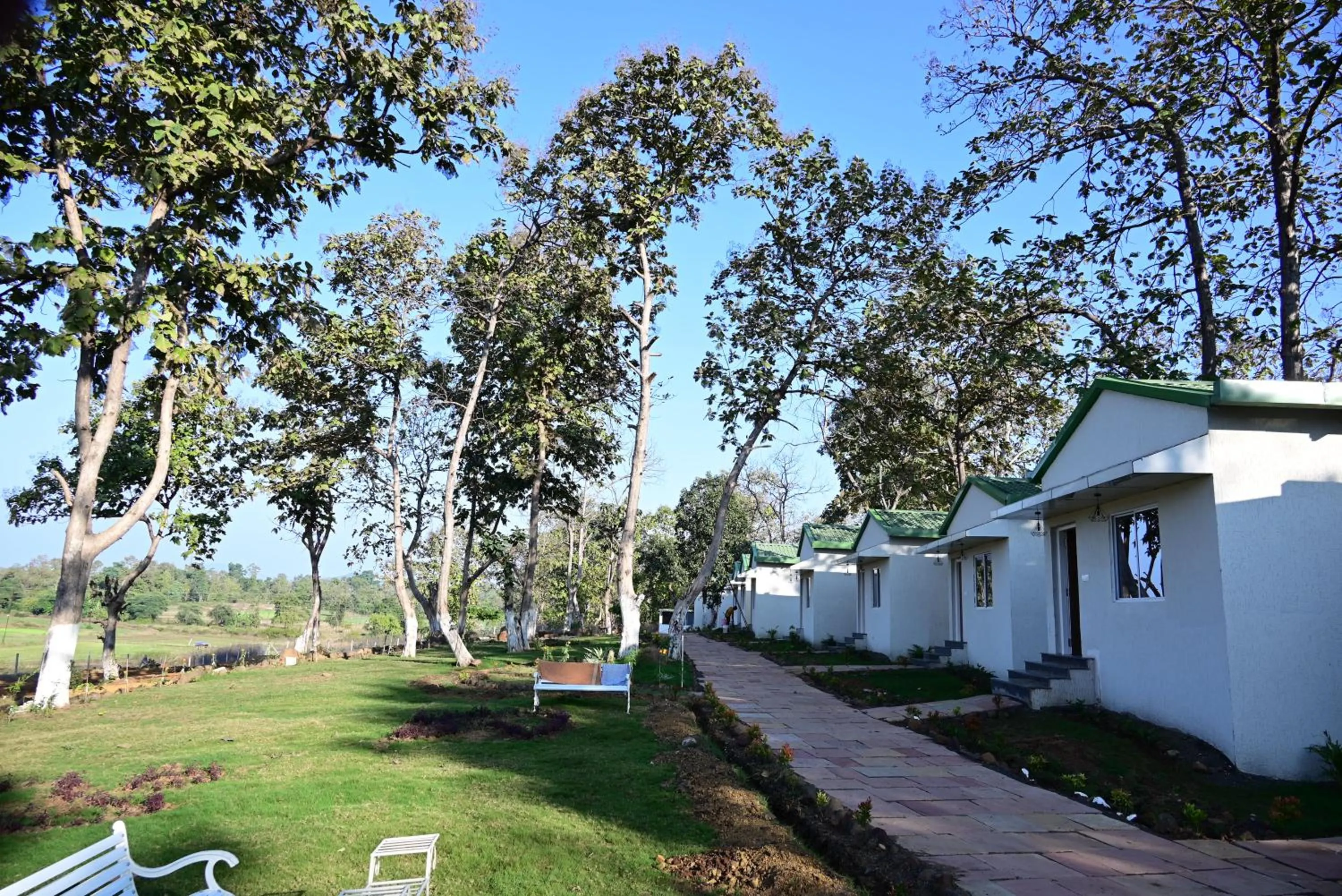 Day in The Golden Woods Resort