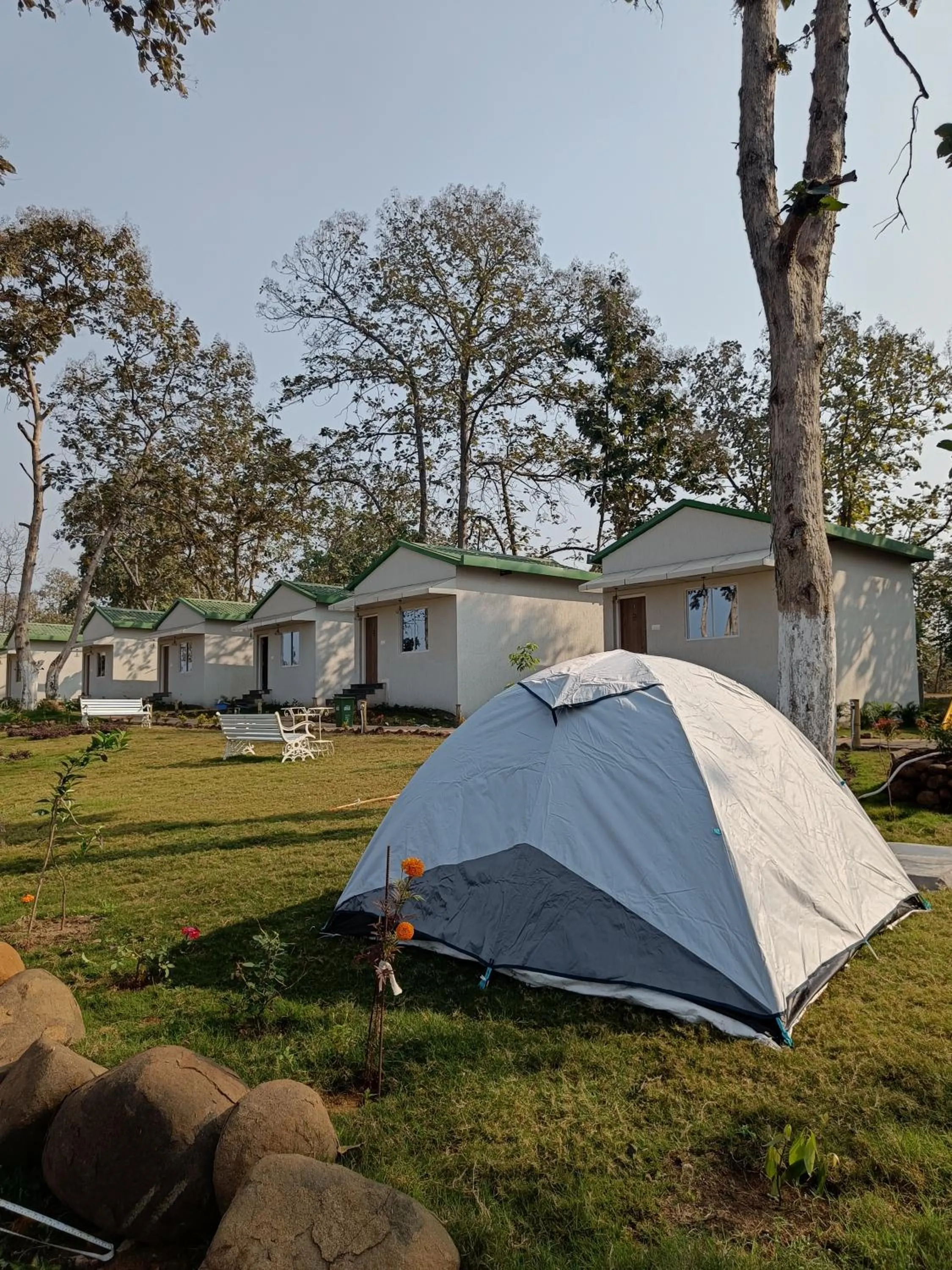 Natural landscape in The Golden Woods Resort