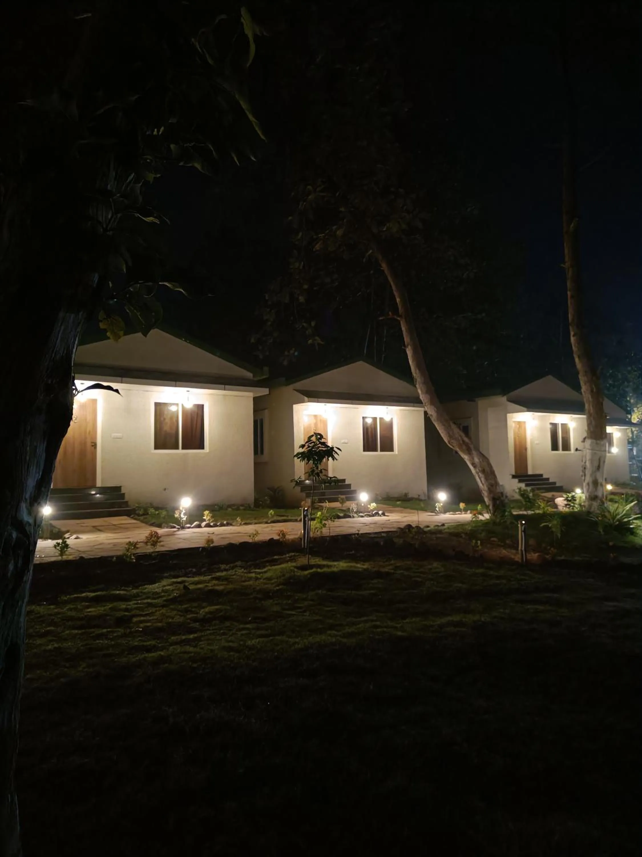 Night in The Golden Woods Resort