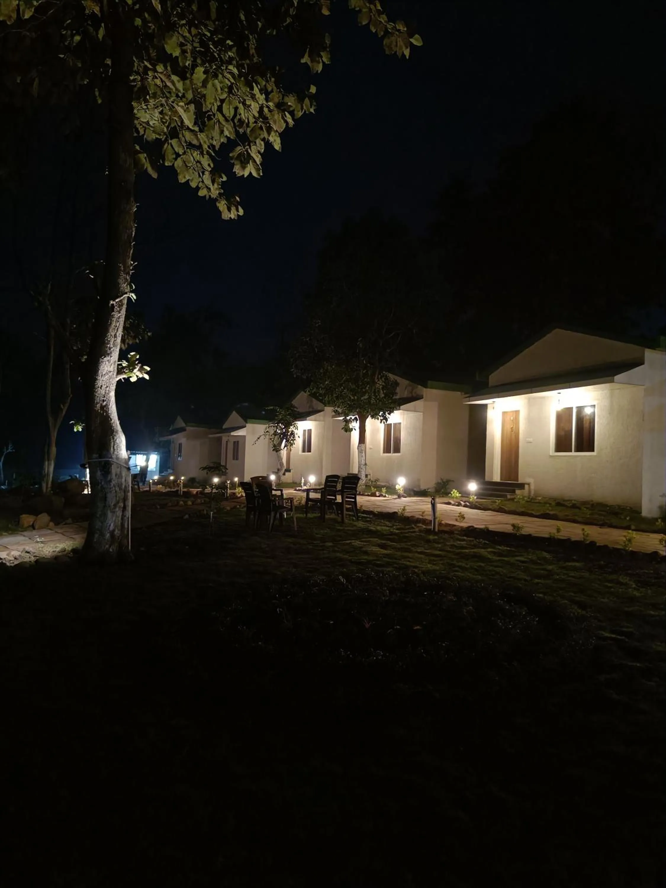 Night in The Golden Woods Resort