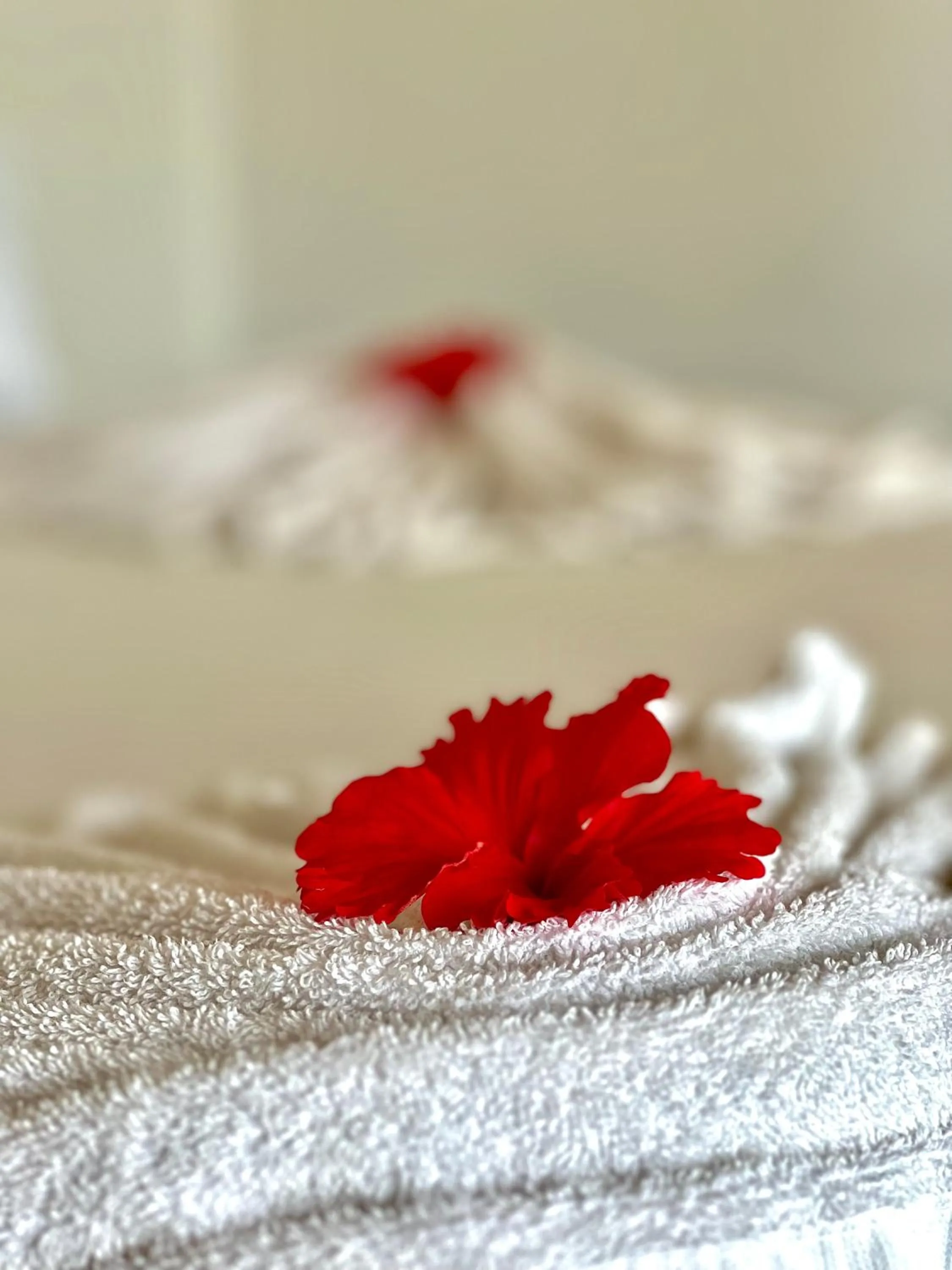 Bed in Jambiani White Sands Bungalows