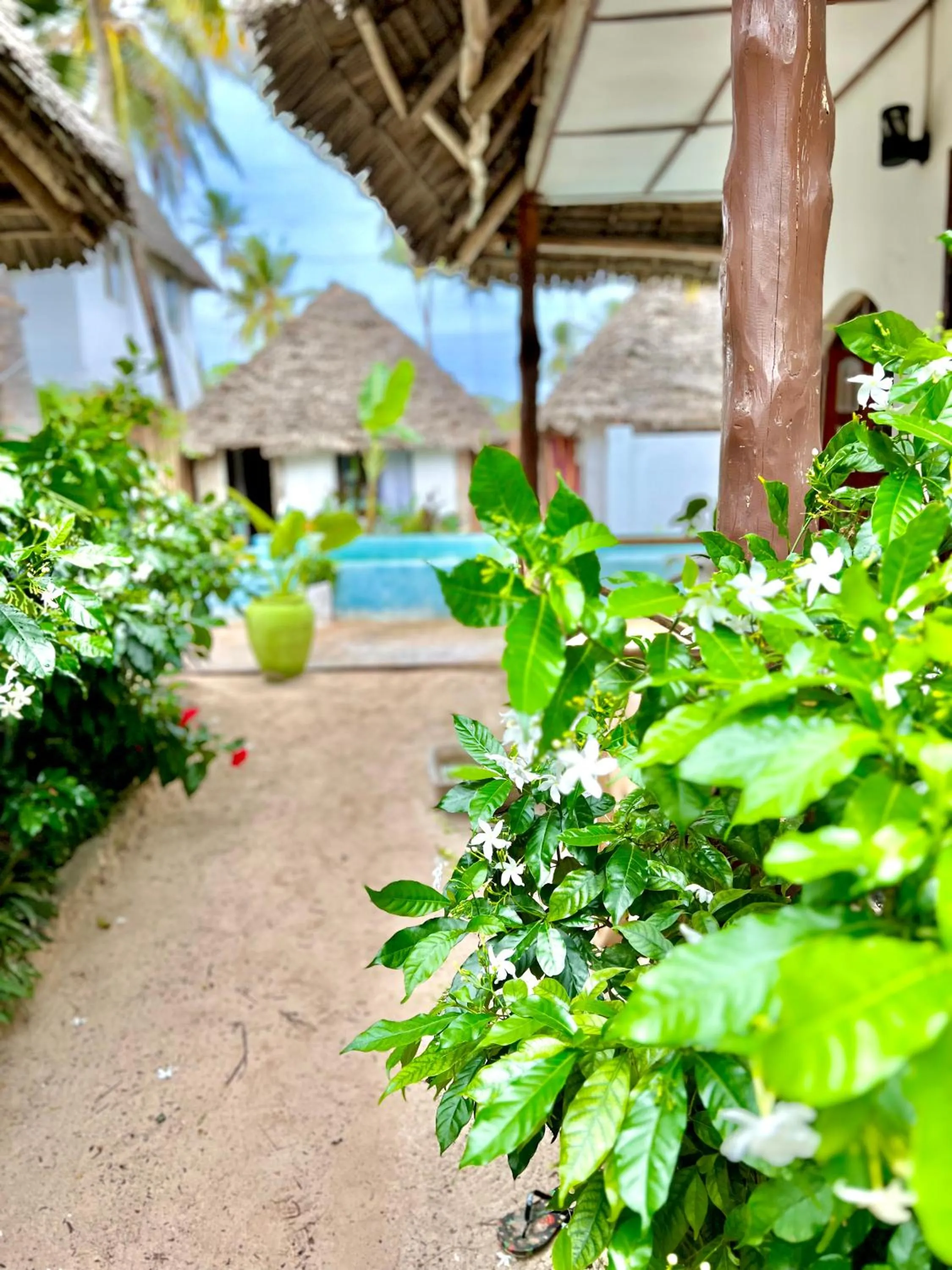 Property building in Jambiani White Sands Bungalows