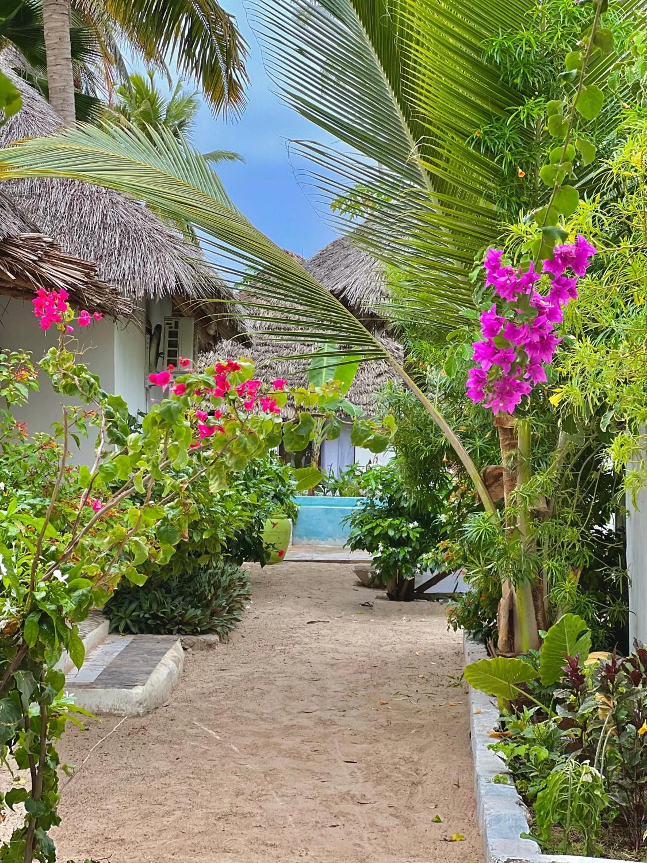 Property building in Jambiani White Sands Bungalows