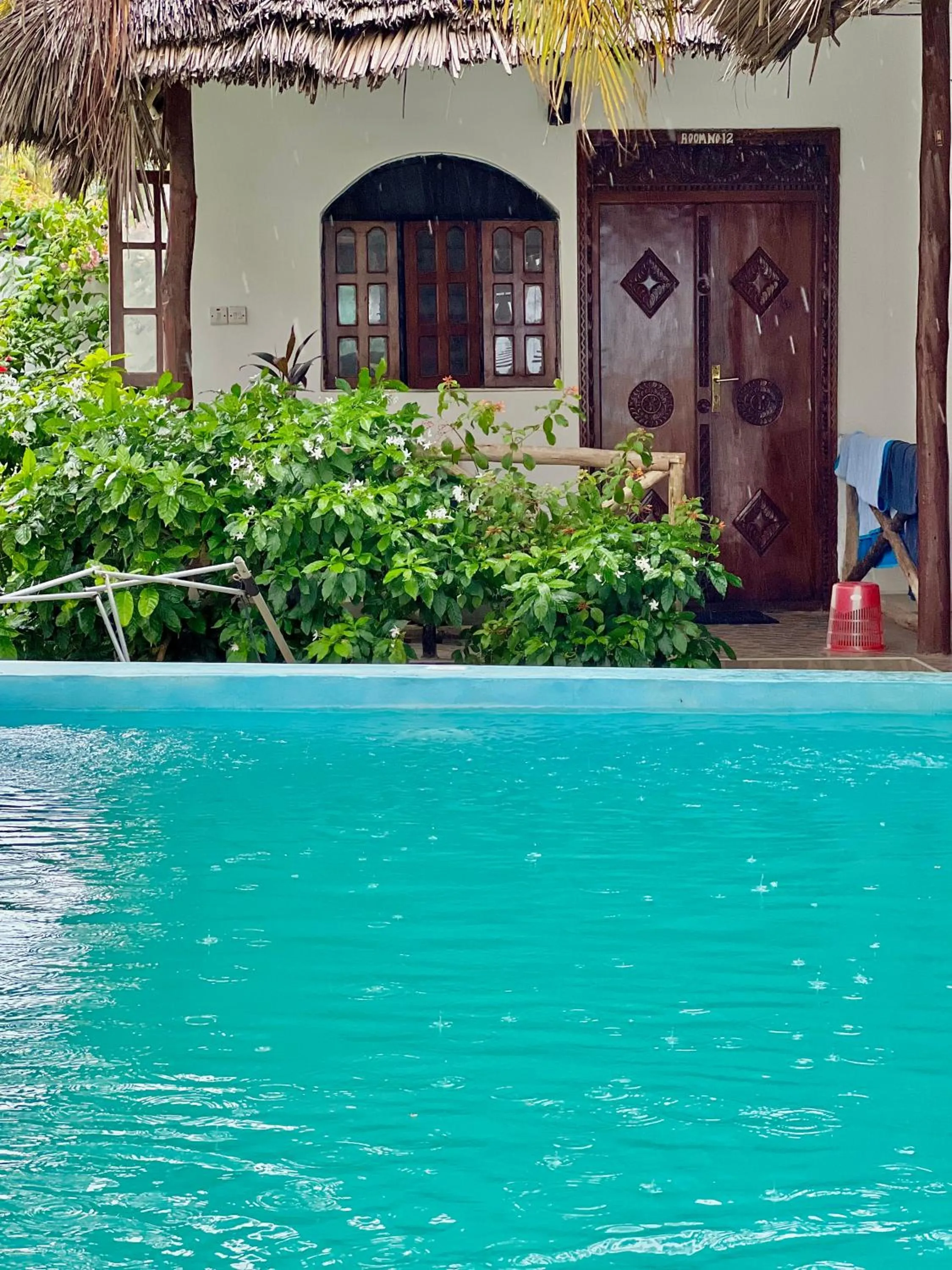 Garden in Jambiani White Sands Bungalows