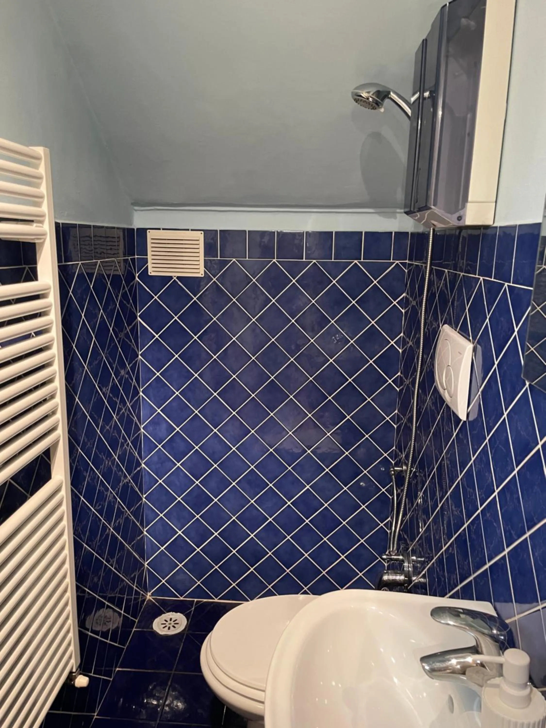 Homelink Firenze - De' Medici