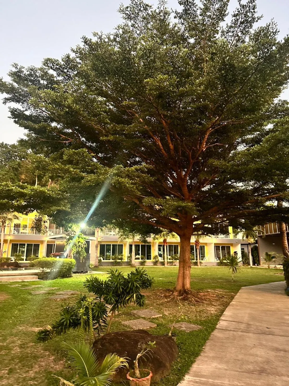 View (from property/room) in Gypsy Sea View Resort- Phi Phi Island