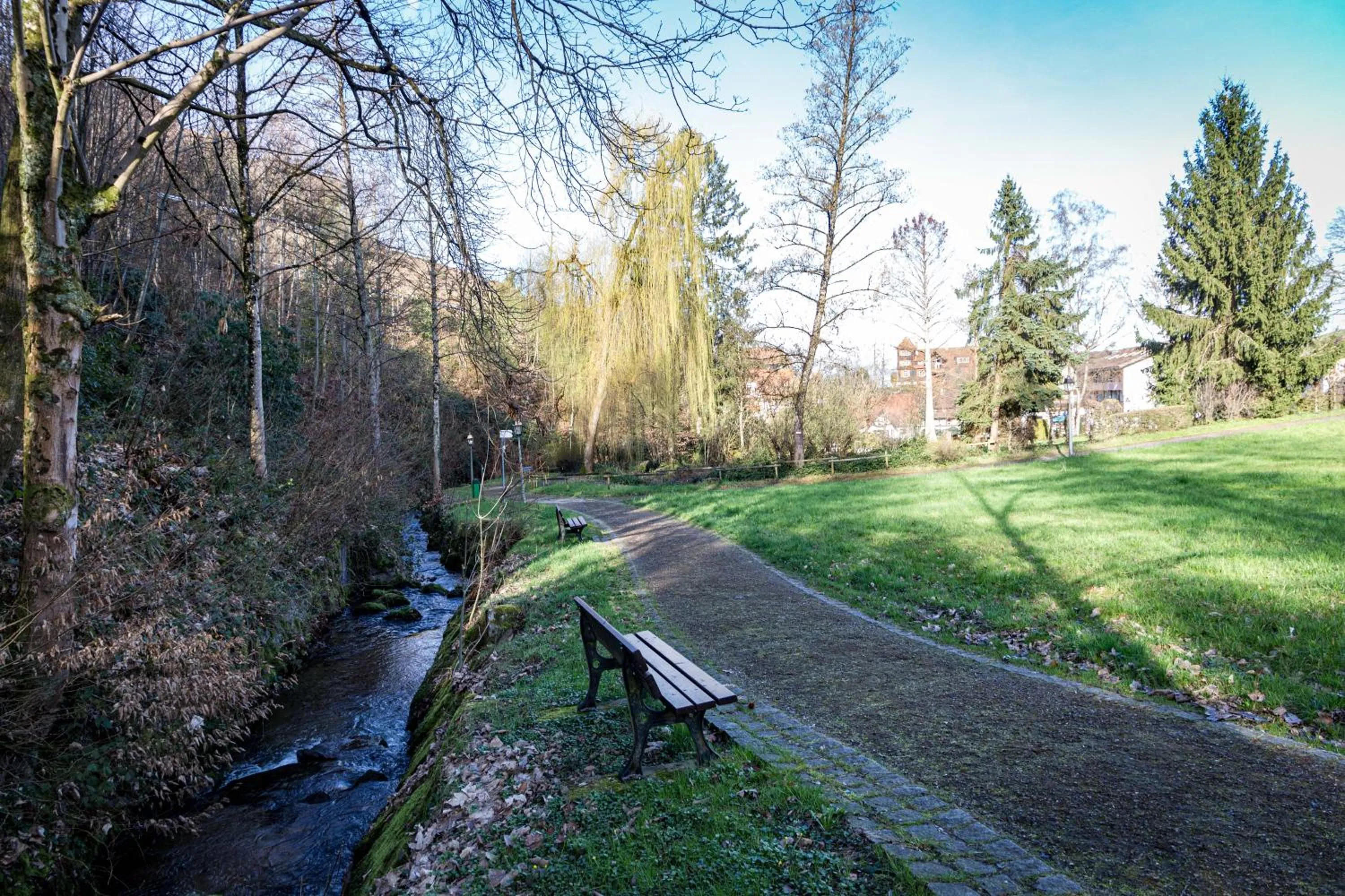 Natural landscape in living TIMELESS - Adler Apartments Sasbachwalden