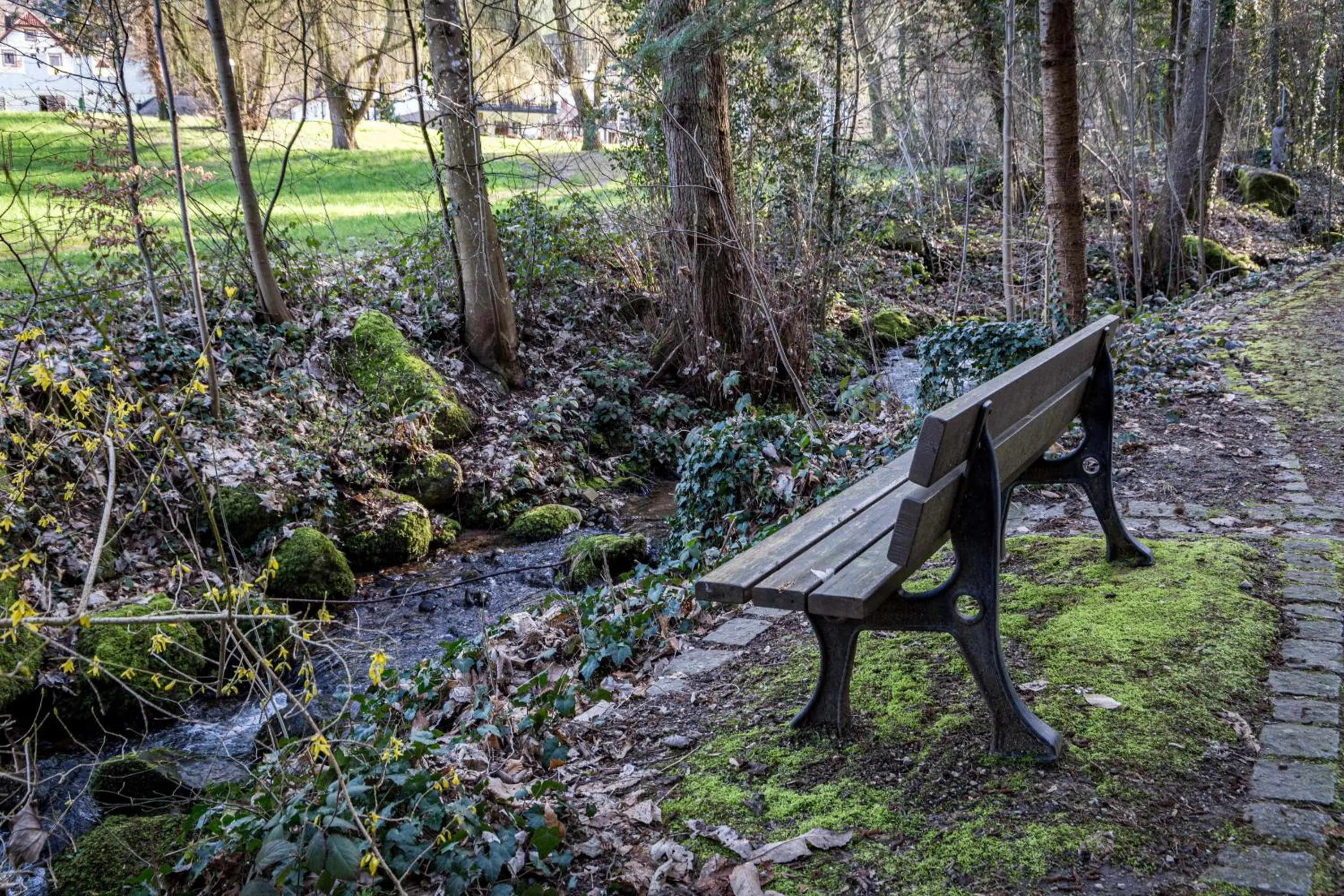 Day in living TIMELESS - Adler Apartments Sasbachwalden