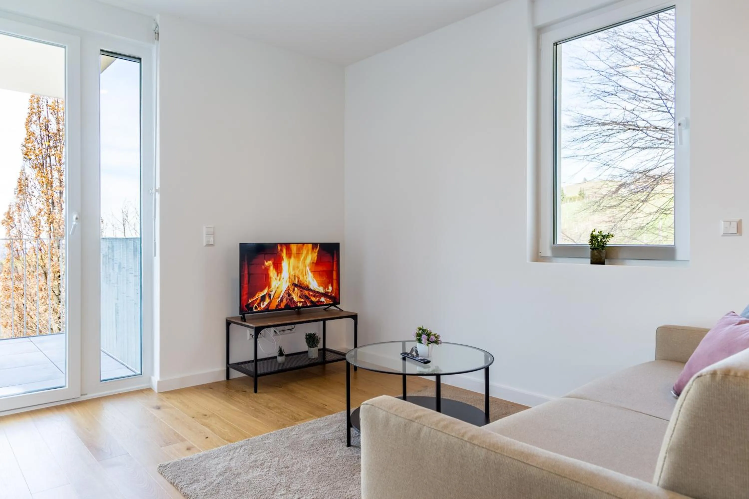 TV and multimedia in living TIMELESS - Adler Apartments Sasbachwalden