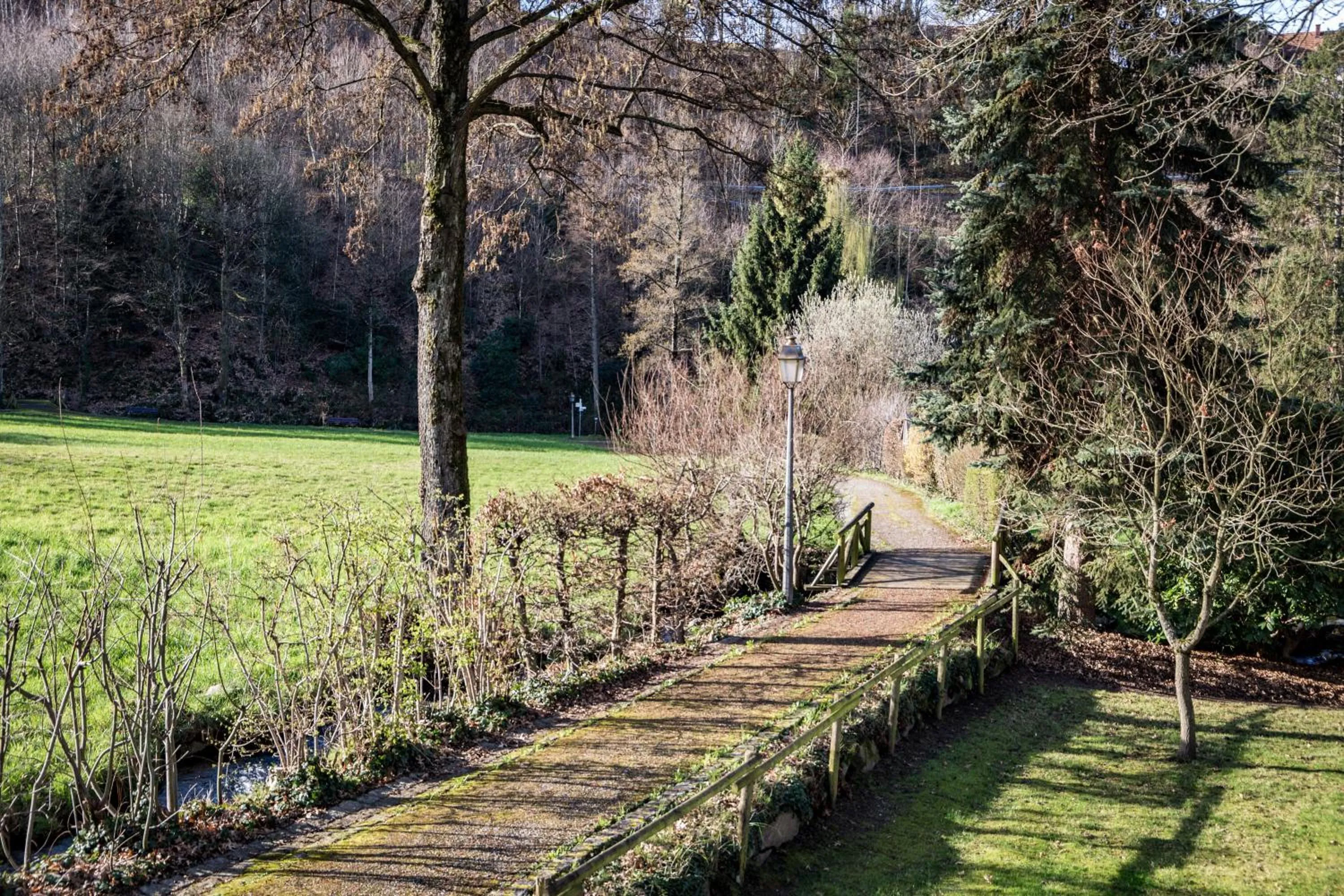 Natural landscape in living TIMELESS - Adler Apartments Sasbachwalden