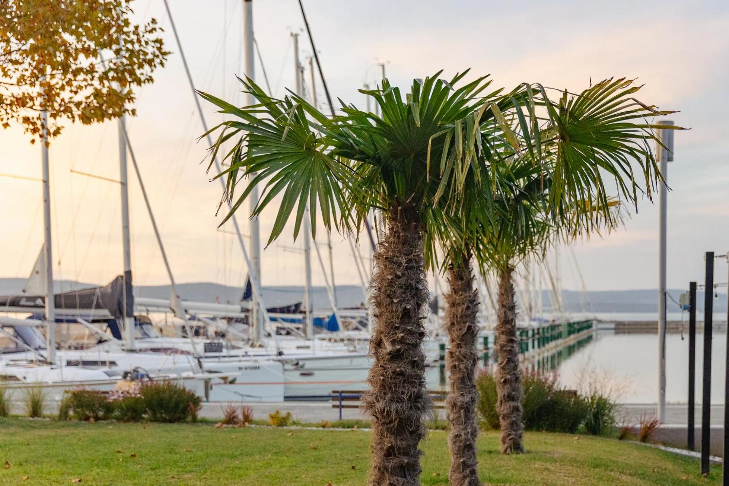 Natural landscape in BL Garden Panzió