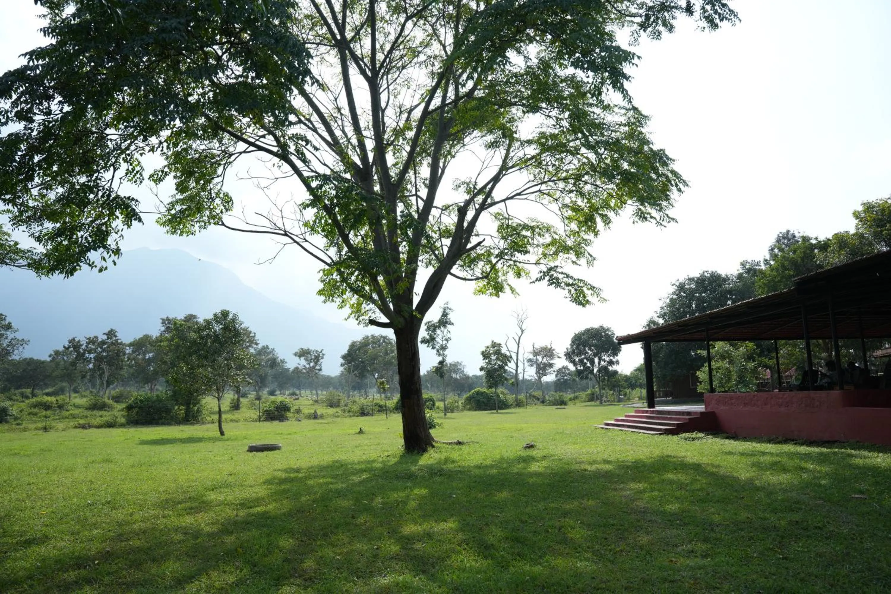 Natural landscape in labdhi Resorts Masinagudi- Stag Groups not allowed