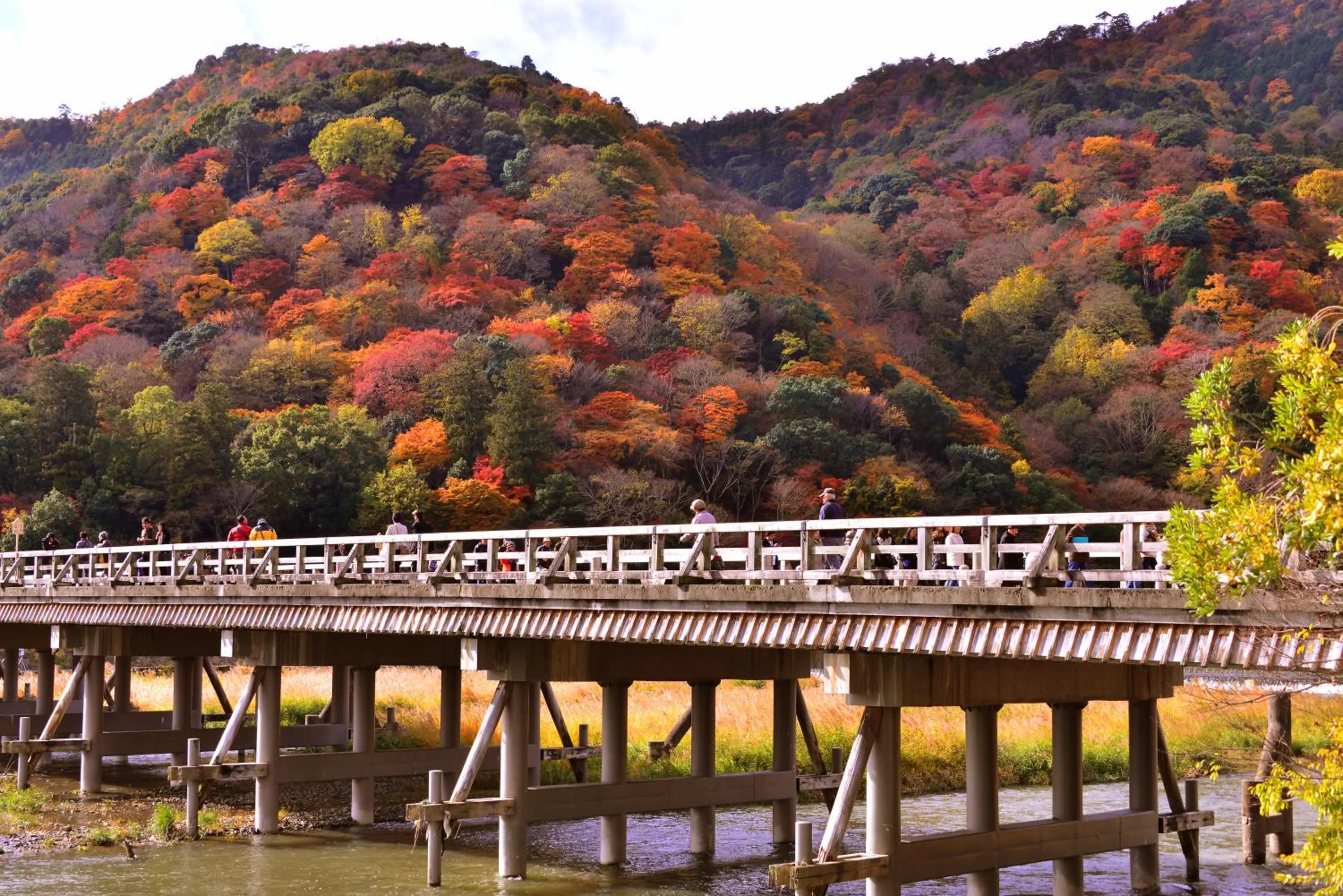 Nearby landmark in Hotel Binario Saga Arashiyama