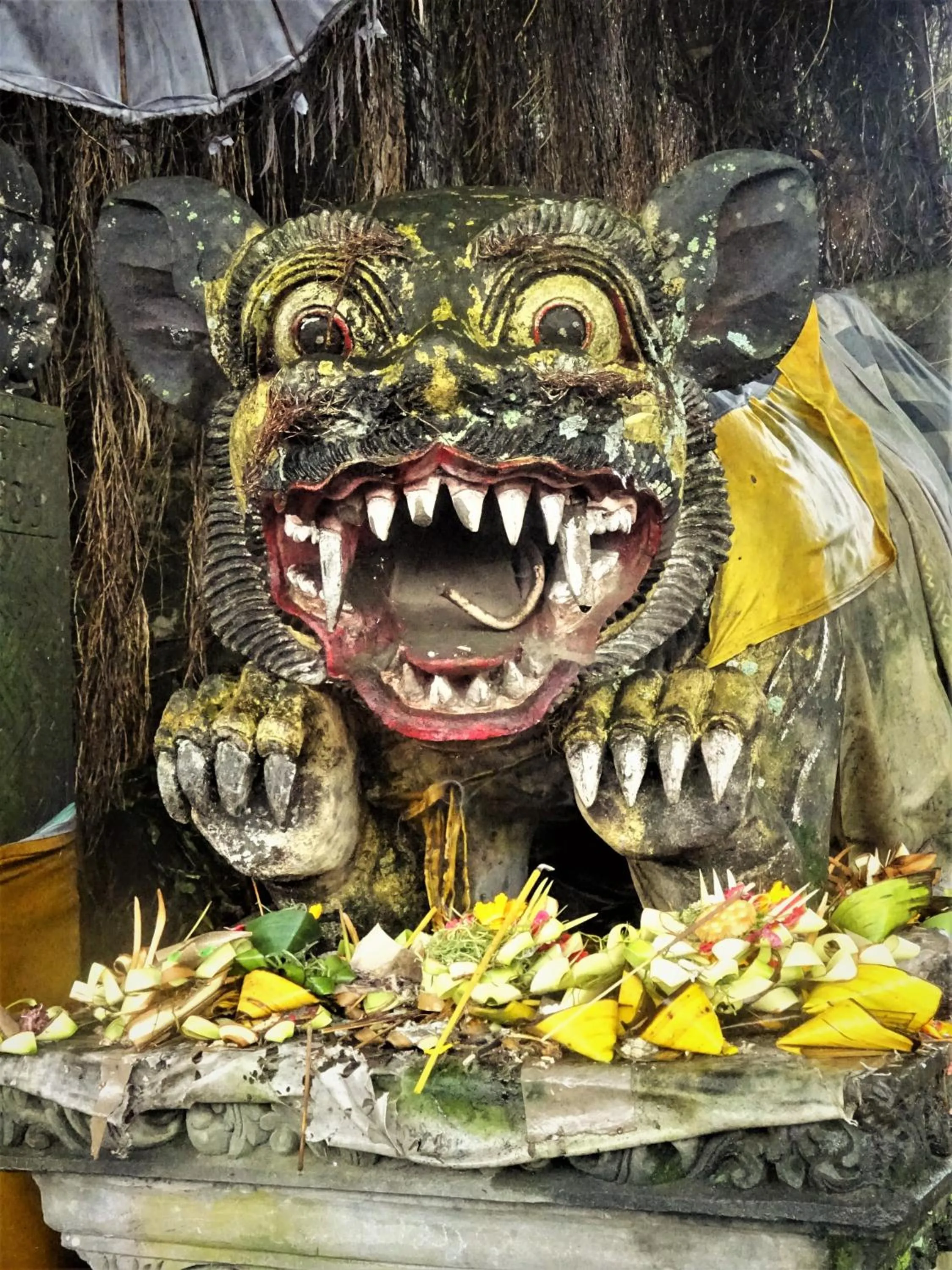 Nearby landmark in Mayo Resort