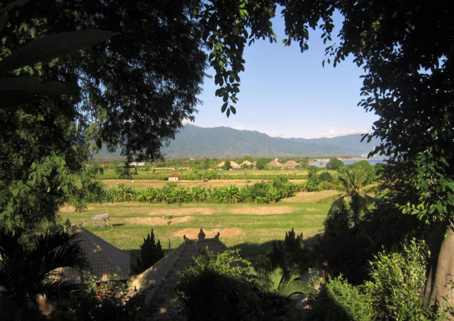 Natural landscape in Mayo Resort