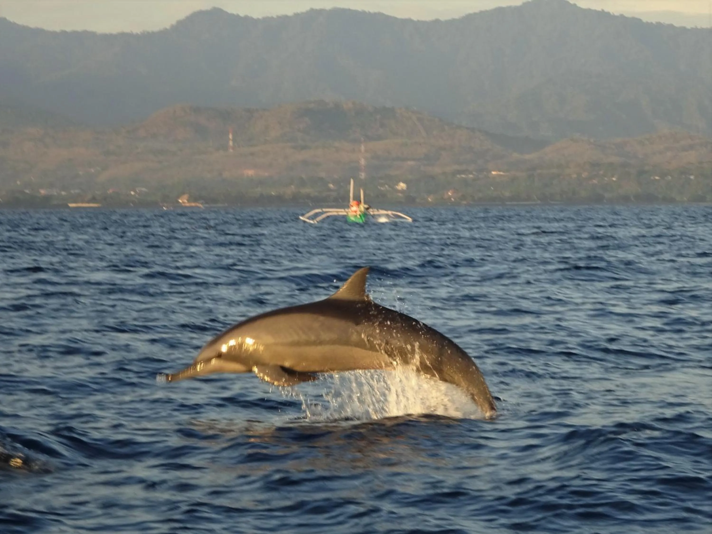 Activities in Mayo Resort