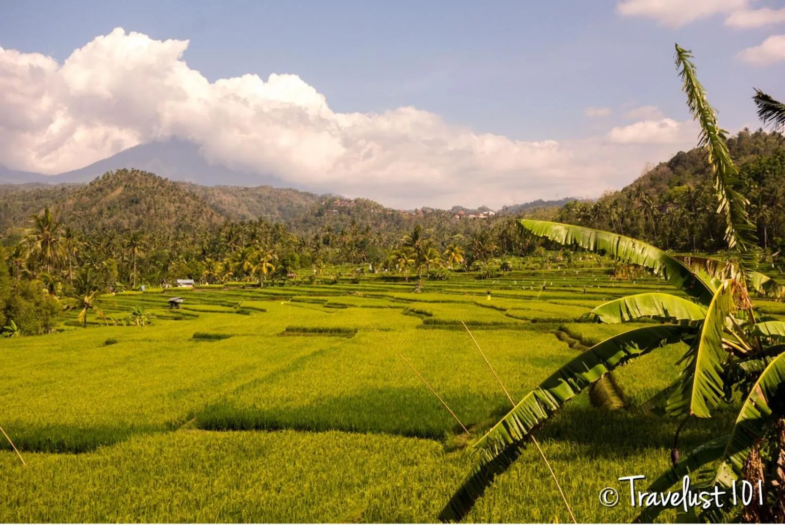 Natural landscape in Mayo Resort