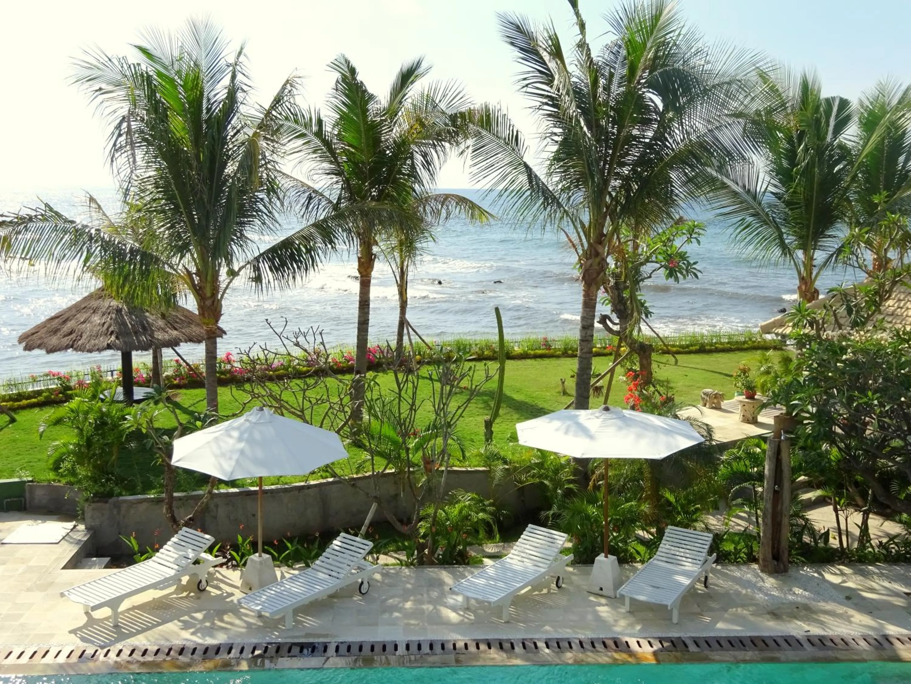 Garden view in Mayo Resort