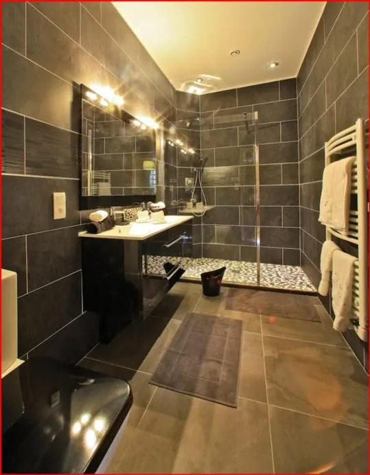 Shower in Appartement de prestige avec parking Sarlat centre
