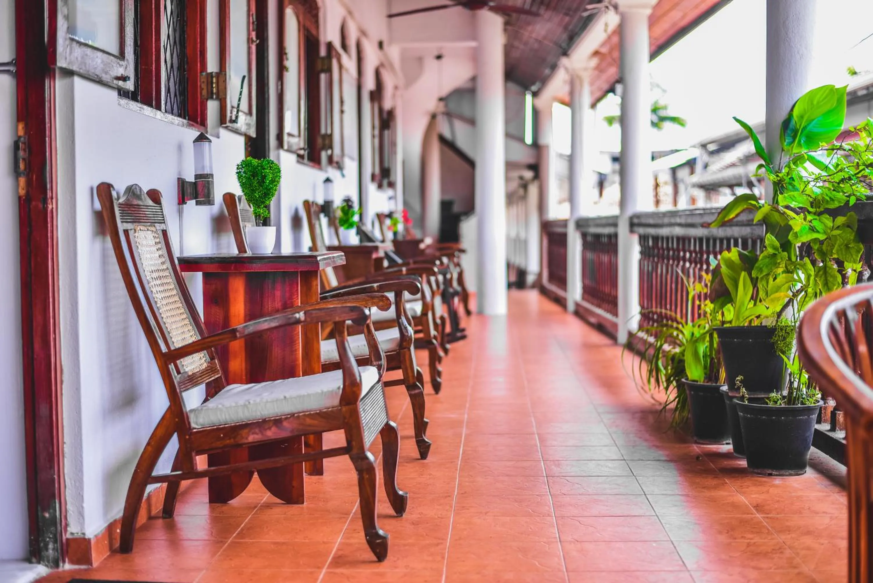 Balcony/Terrace in Wijenayake's - Beach Haven Guest House - Galle Fort