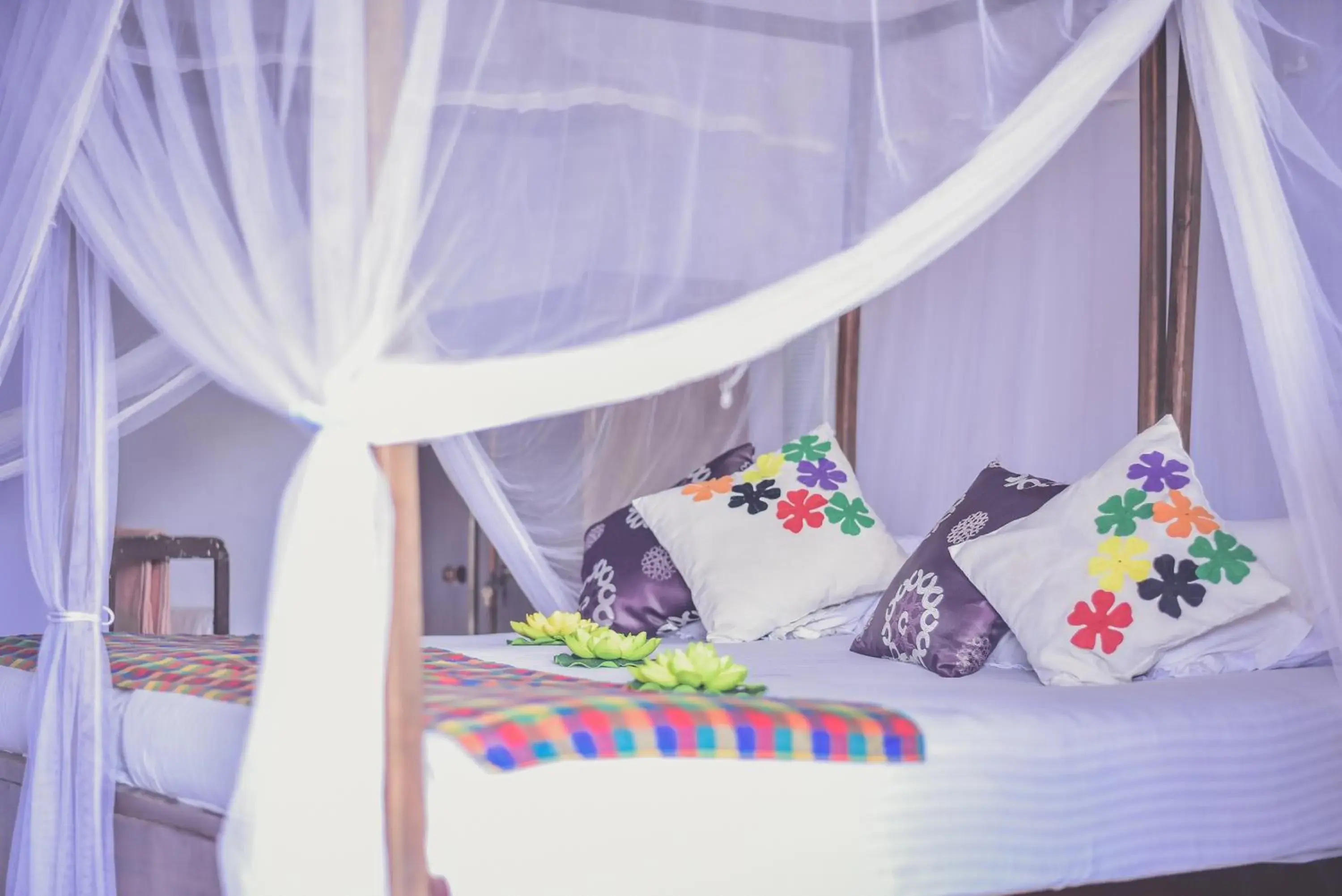 Double or Twin Room - single occupancy in Wijenayake's - Beach Haven Guest House - Galle Fort Double or Twin Room - single occupancy in Wijenayake's - Beach Haven Guest House - Galle Fort