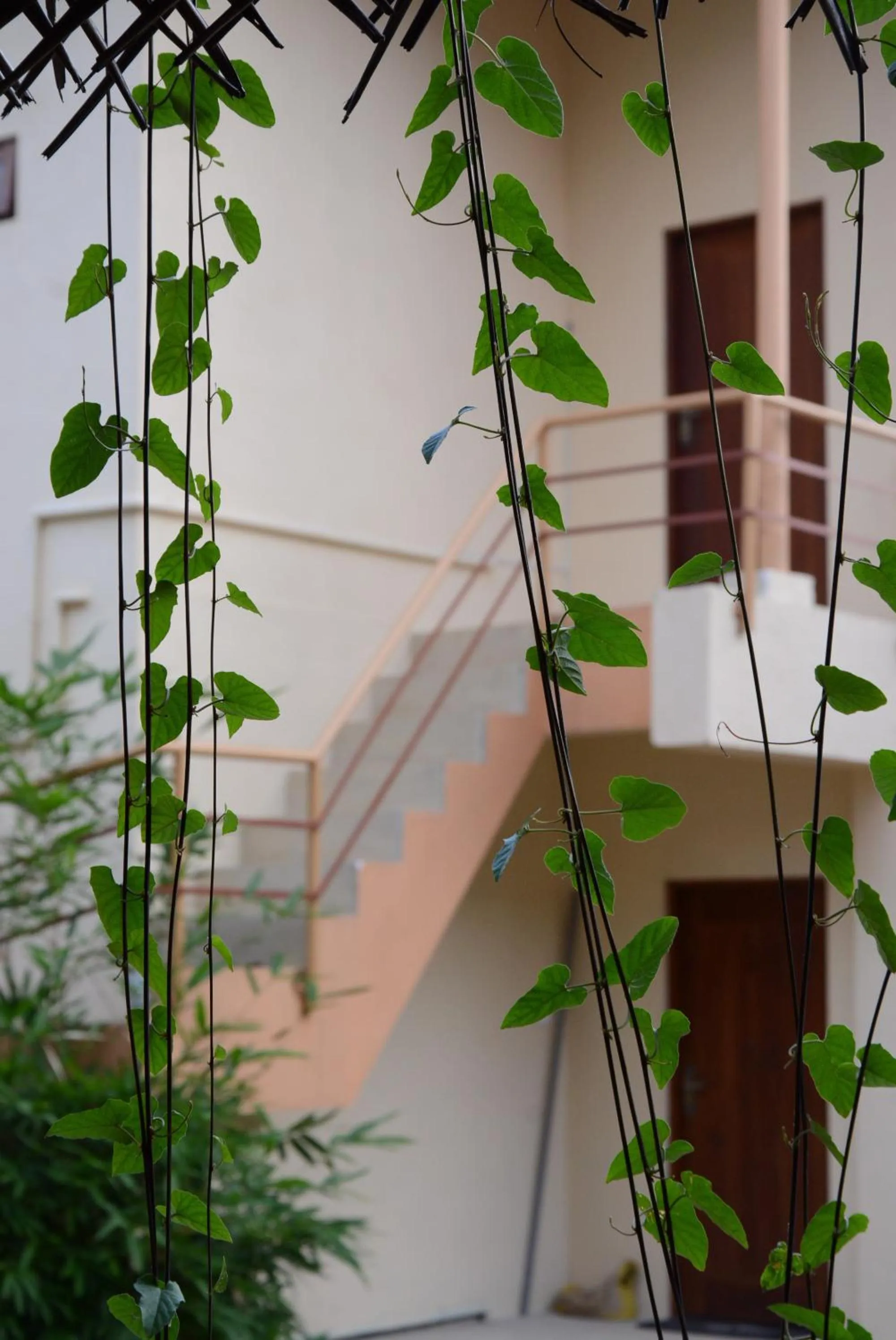 Property building in Hotel Thilon