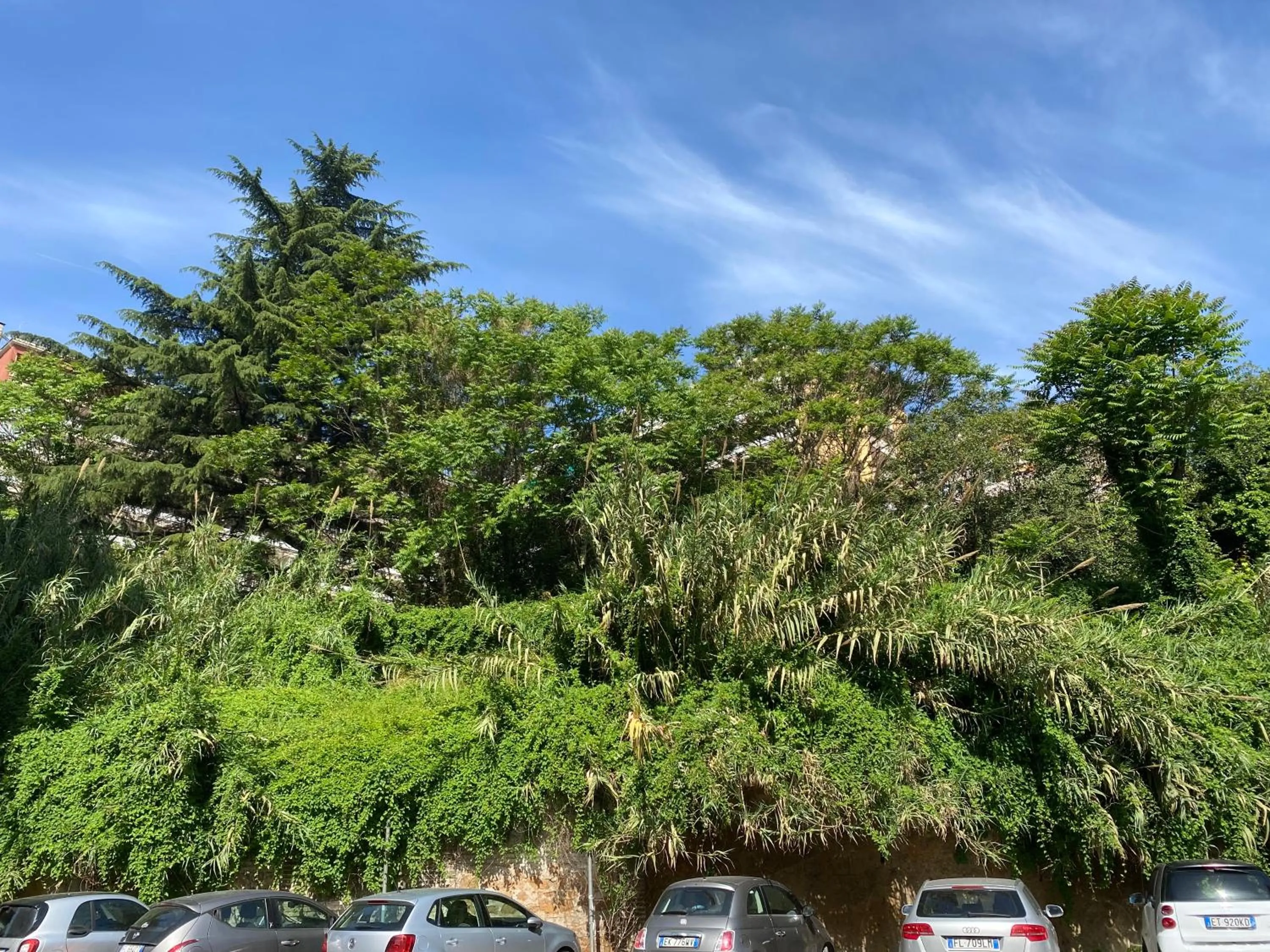 Natural landscape in Guest Art Trastevere Station with AC