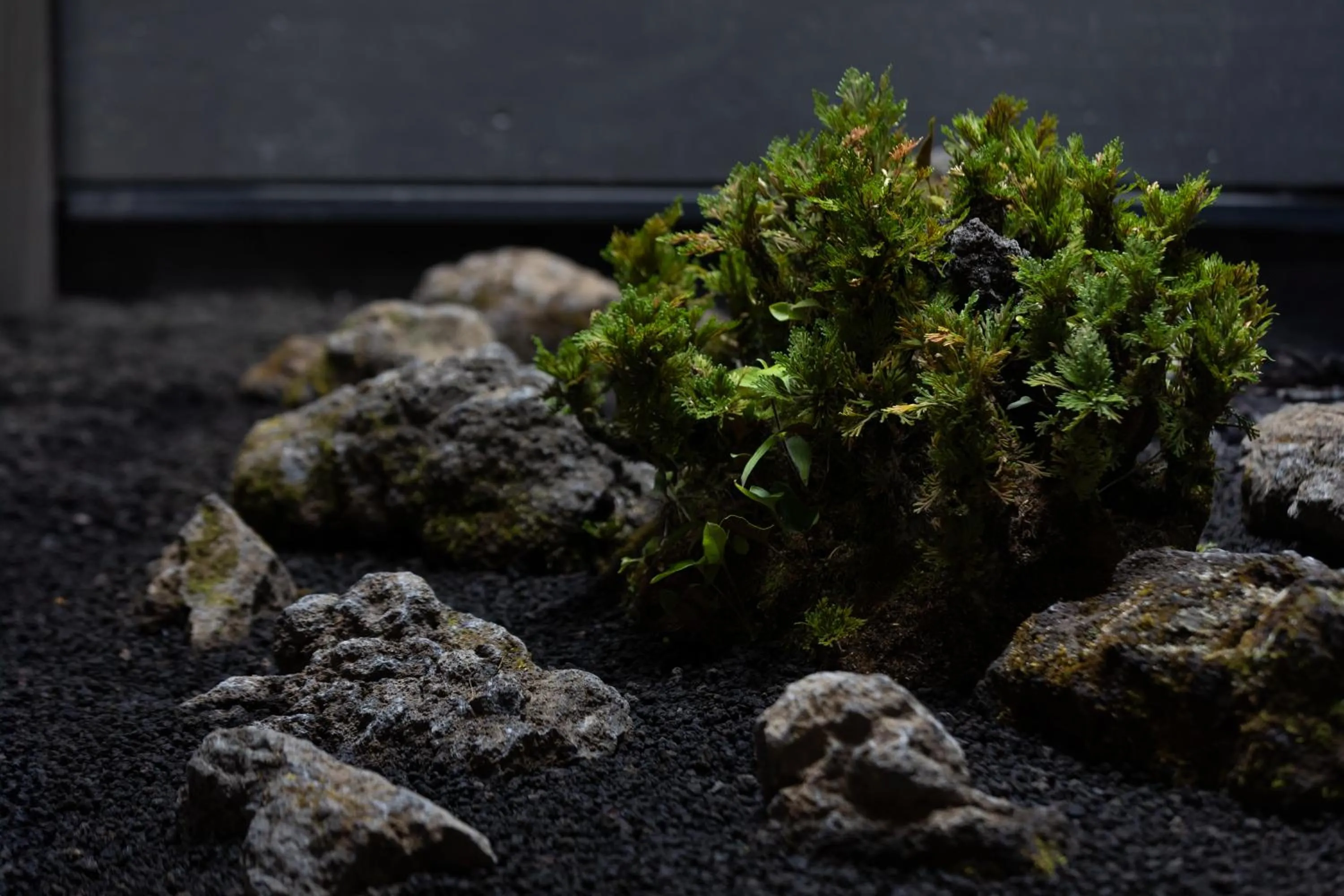 Facade/entrance in 7c villa and winery