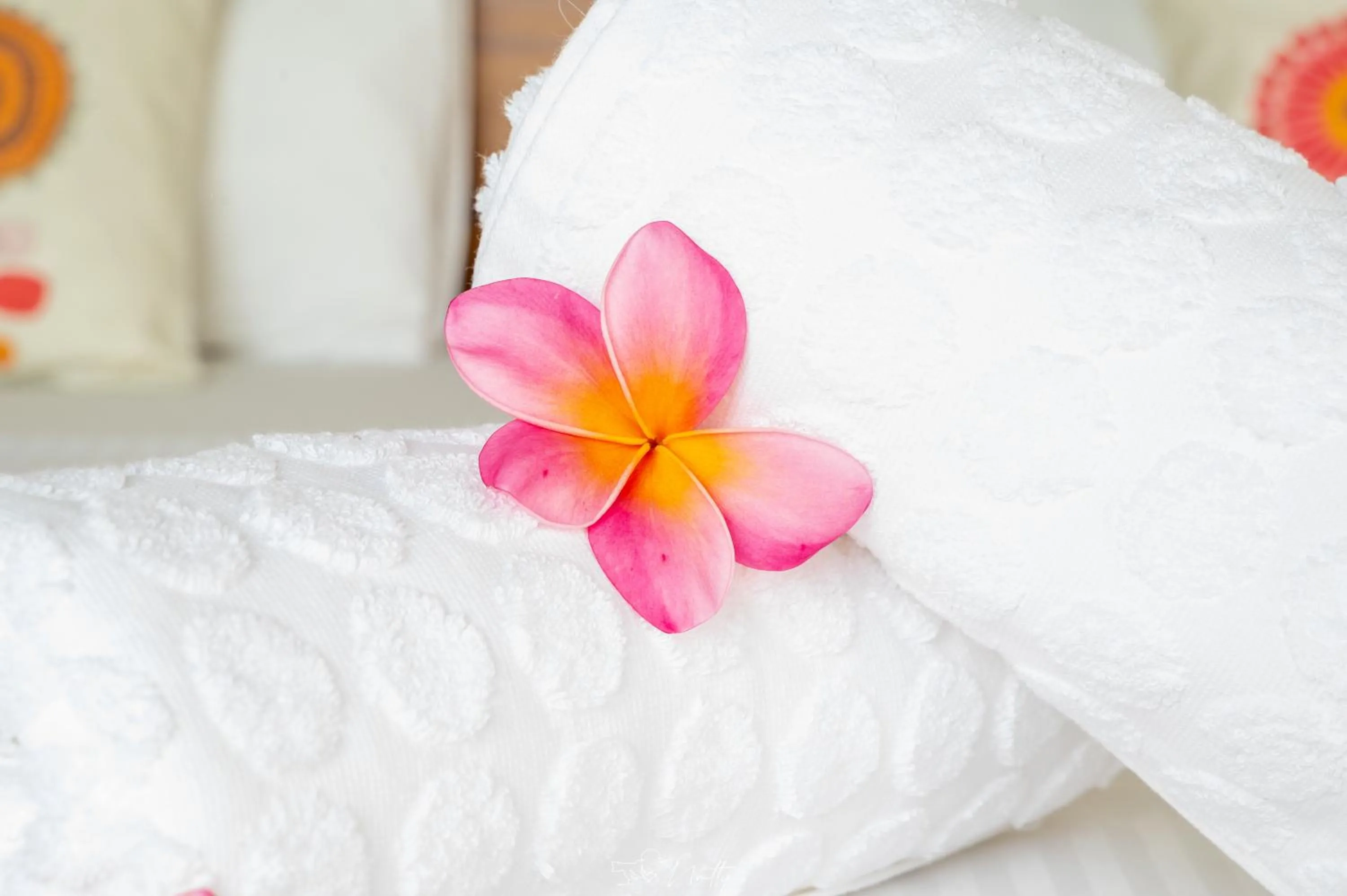 Bedroom, Bed in Residence Foulsafat