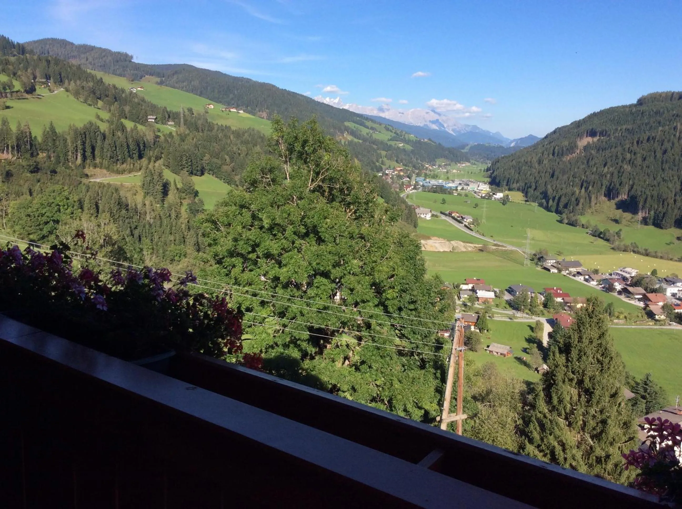 View (from property/room) in Haus Erika