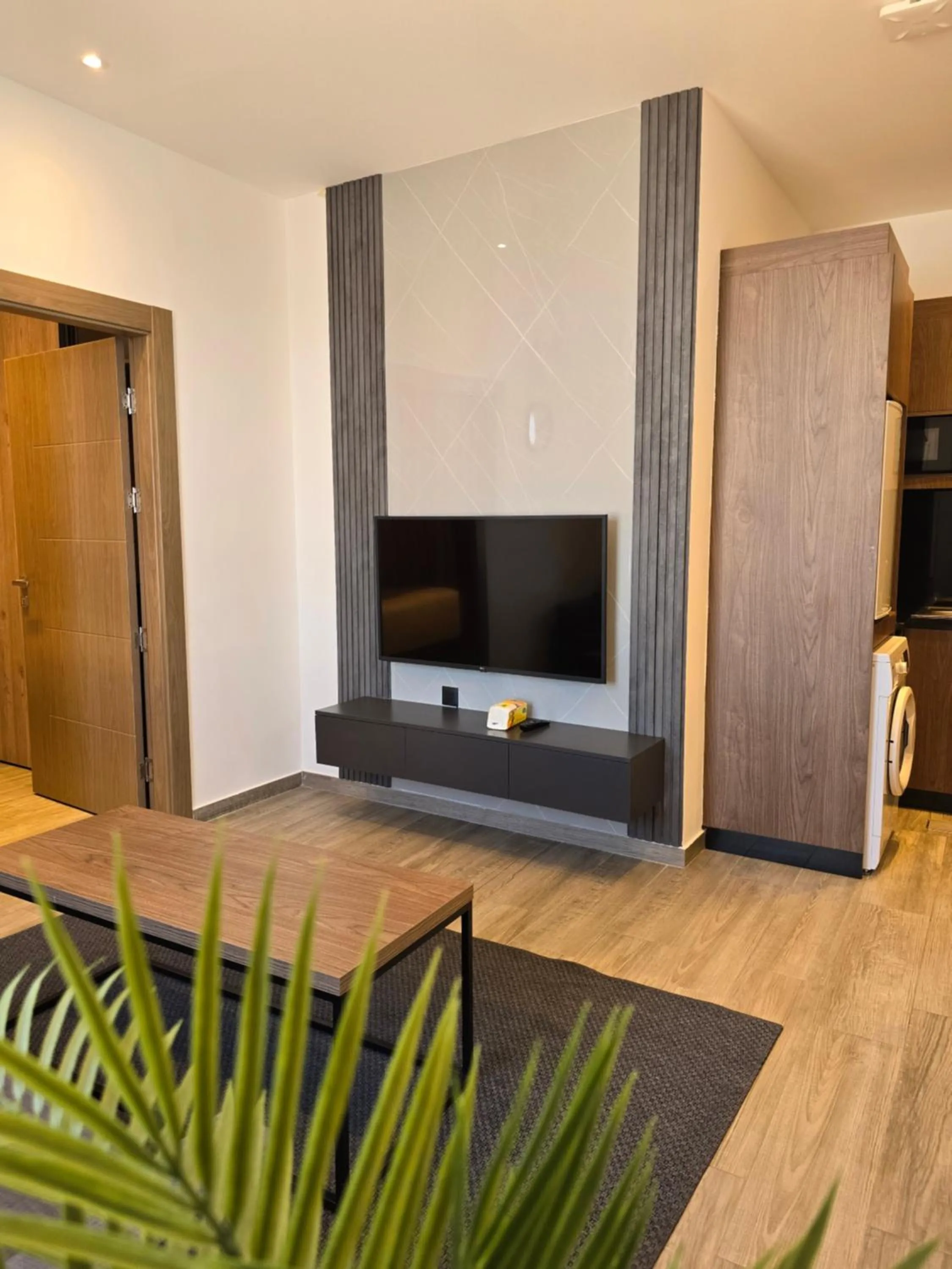 TV and multimedia in Alshakreen suites