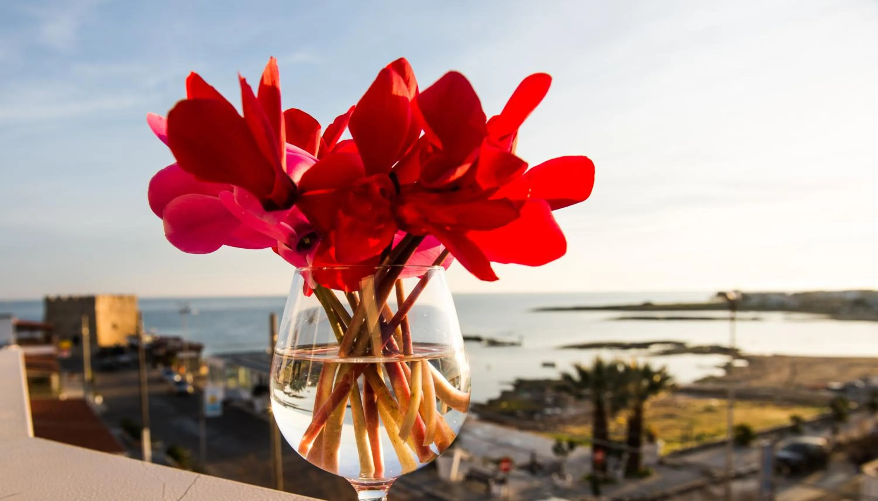 Property building in Hotel Cicò