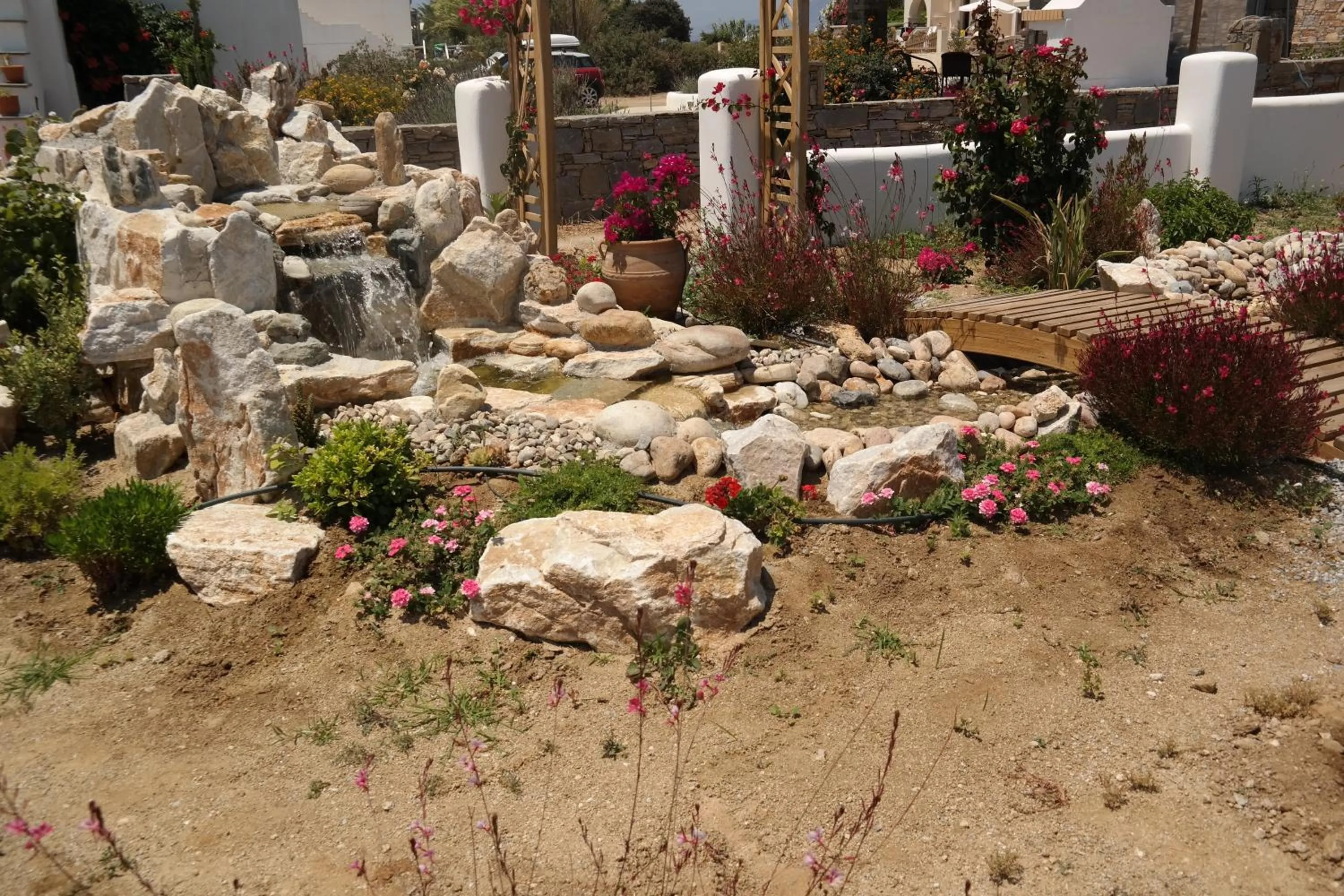 Garden in Annio studios