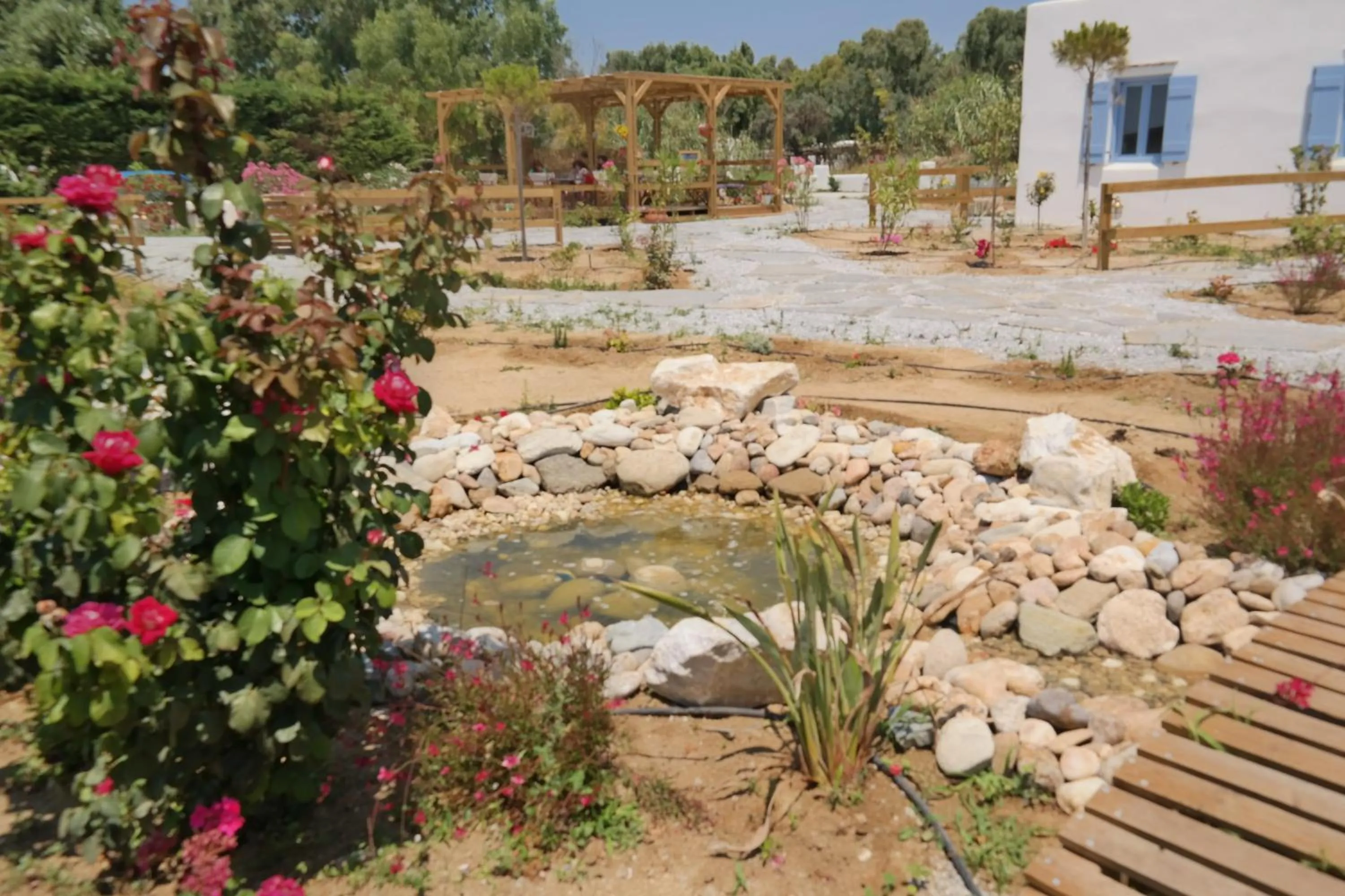 Garden in Annio studios