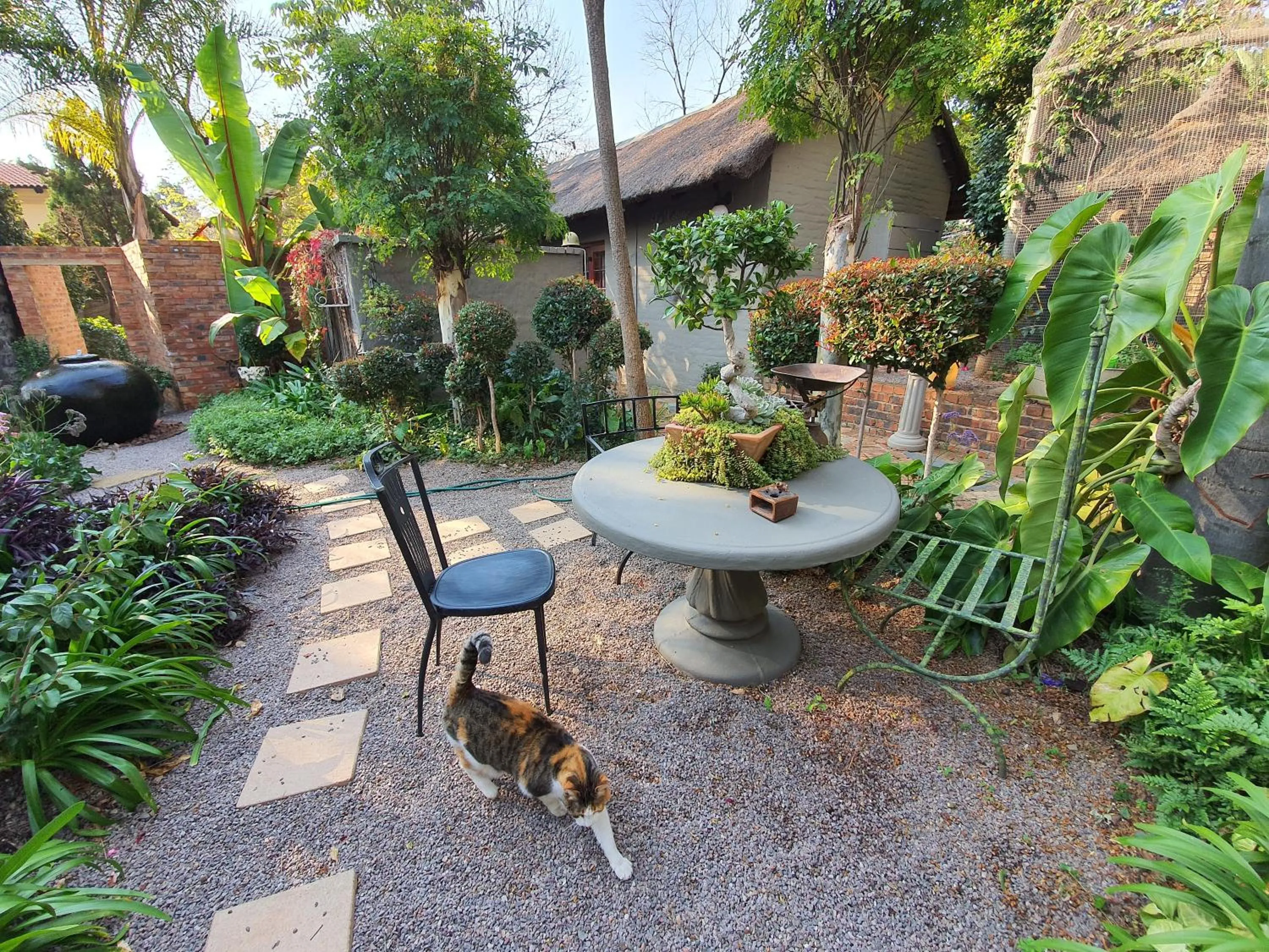 Waterhouse Guest Lodge in Waterkloof