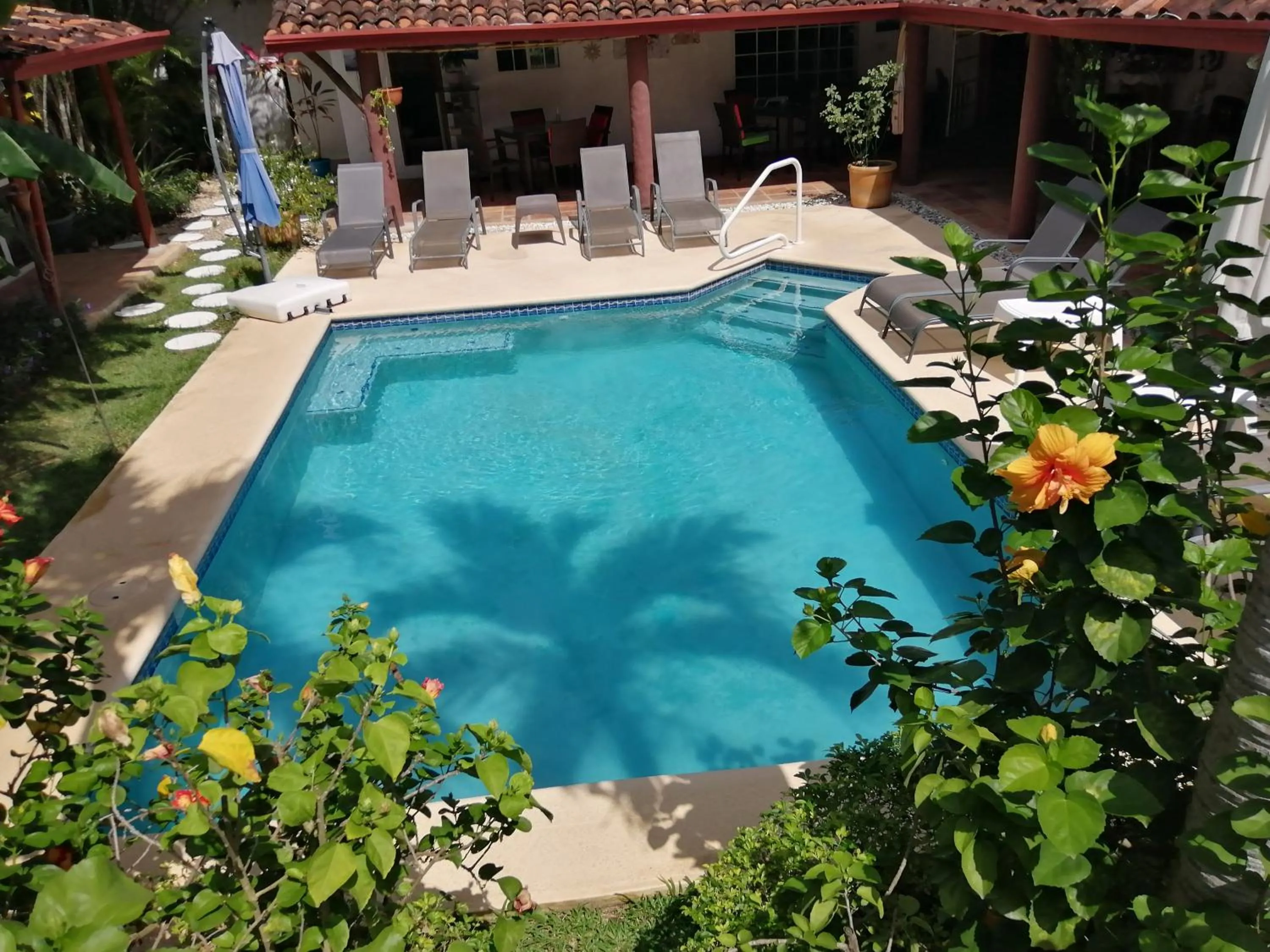 Swimming pool in Villa Botero By Casa Mojito