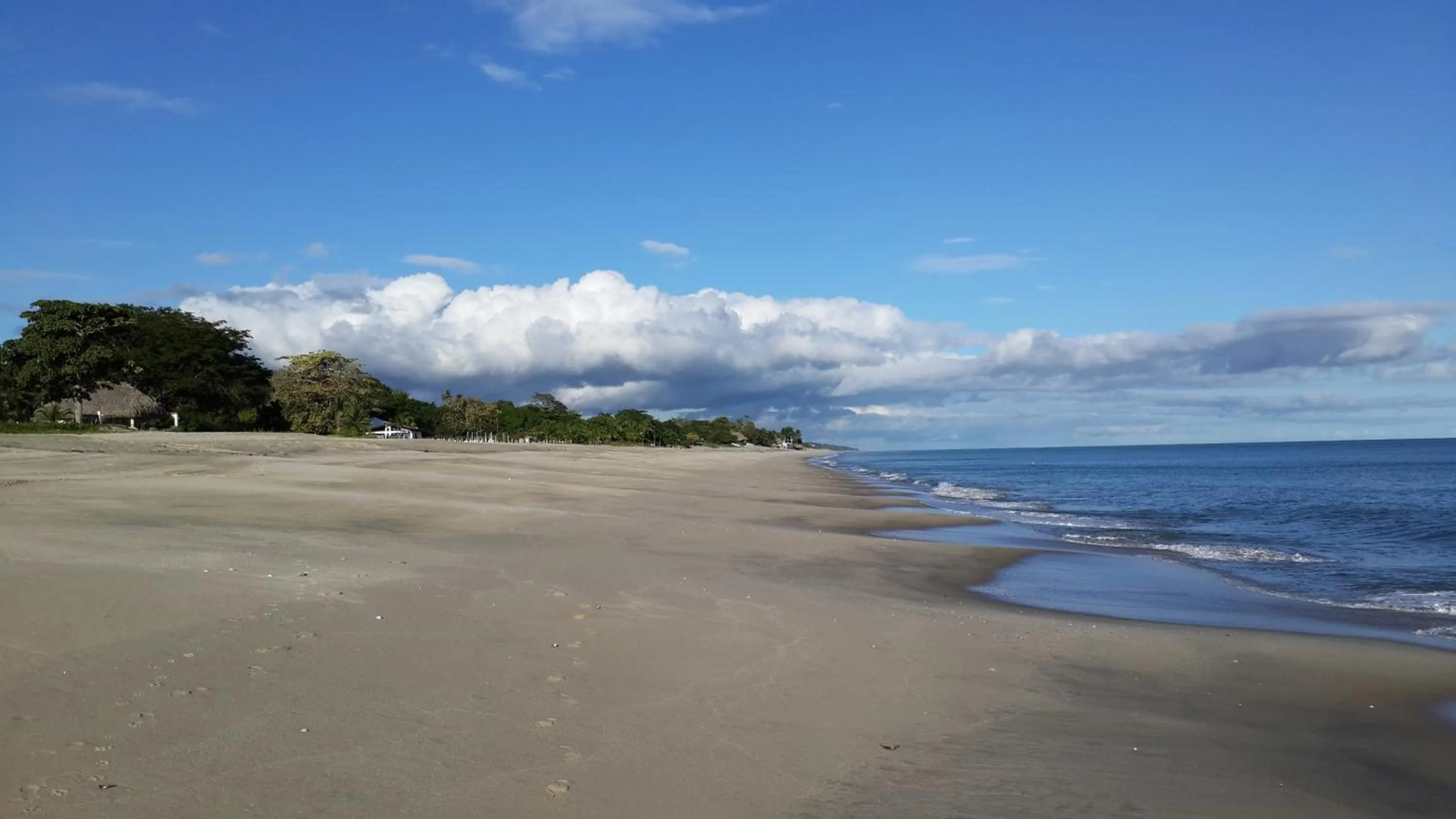 Beach in Villa Botero By Casa Mojito