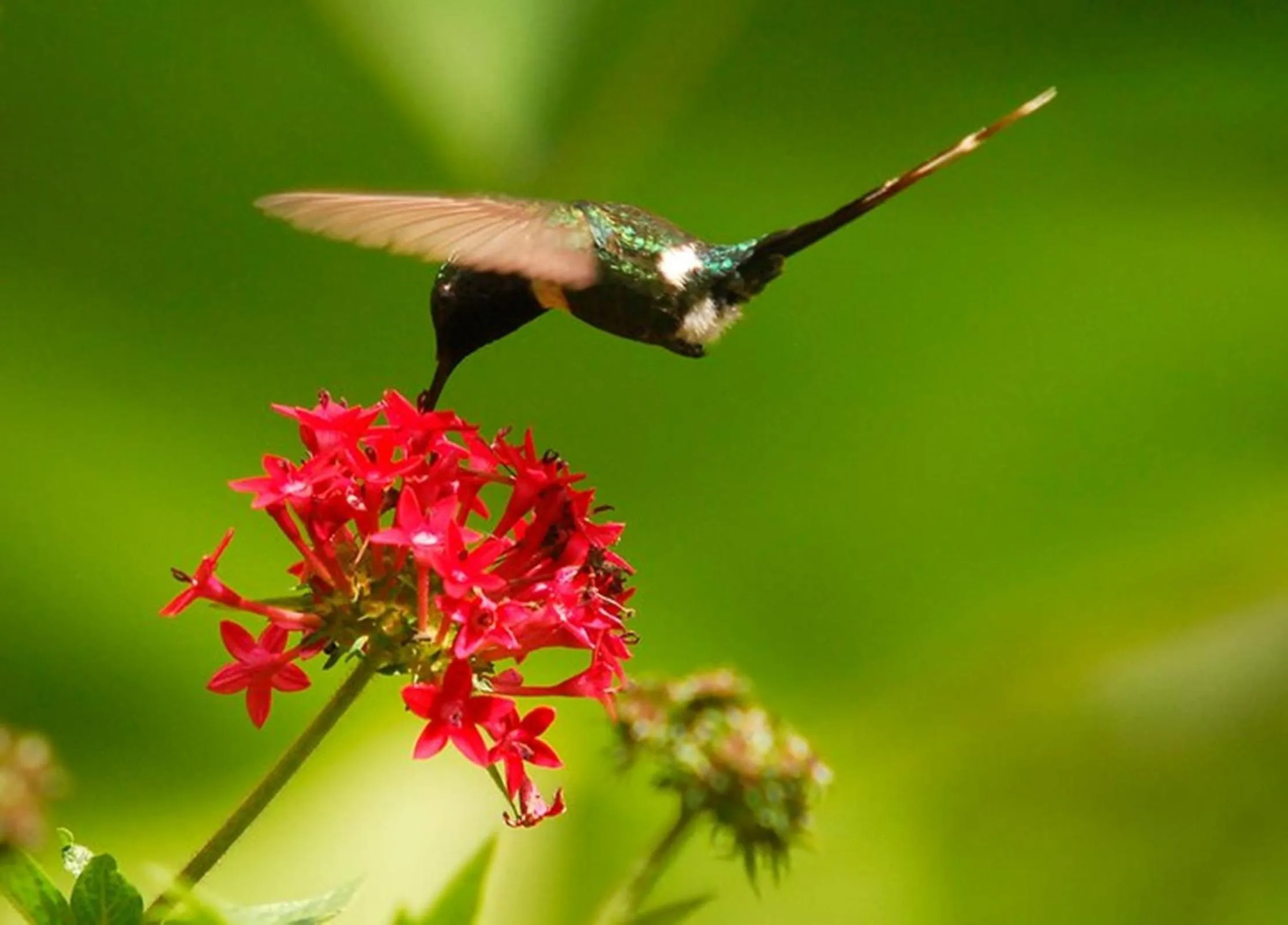 On site in Reserva Natural Atitlan