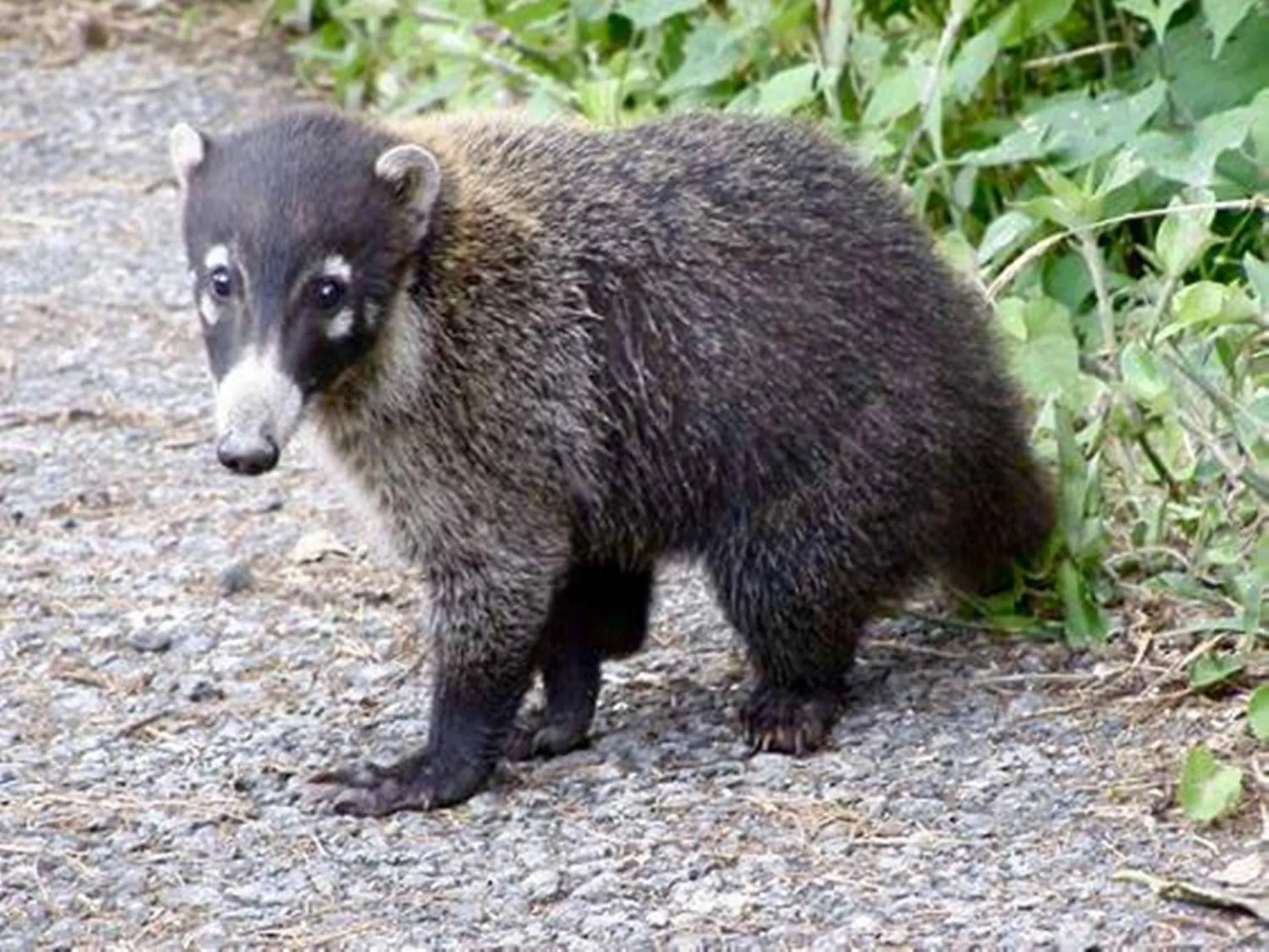 Day in Reserva Natural Atitlan