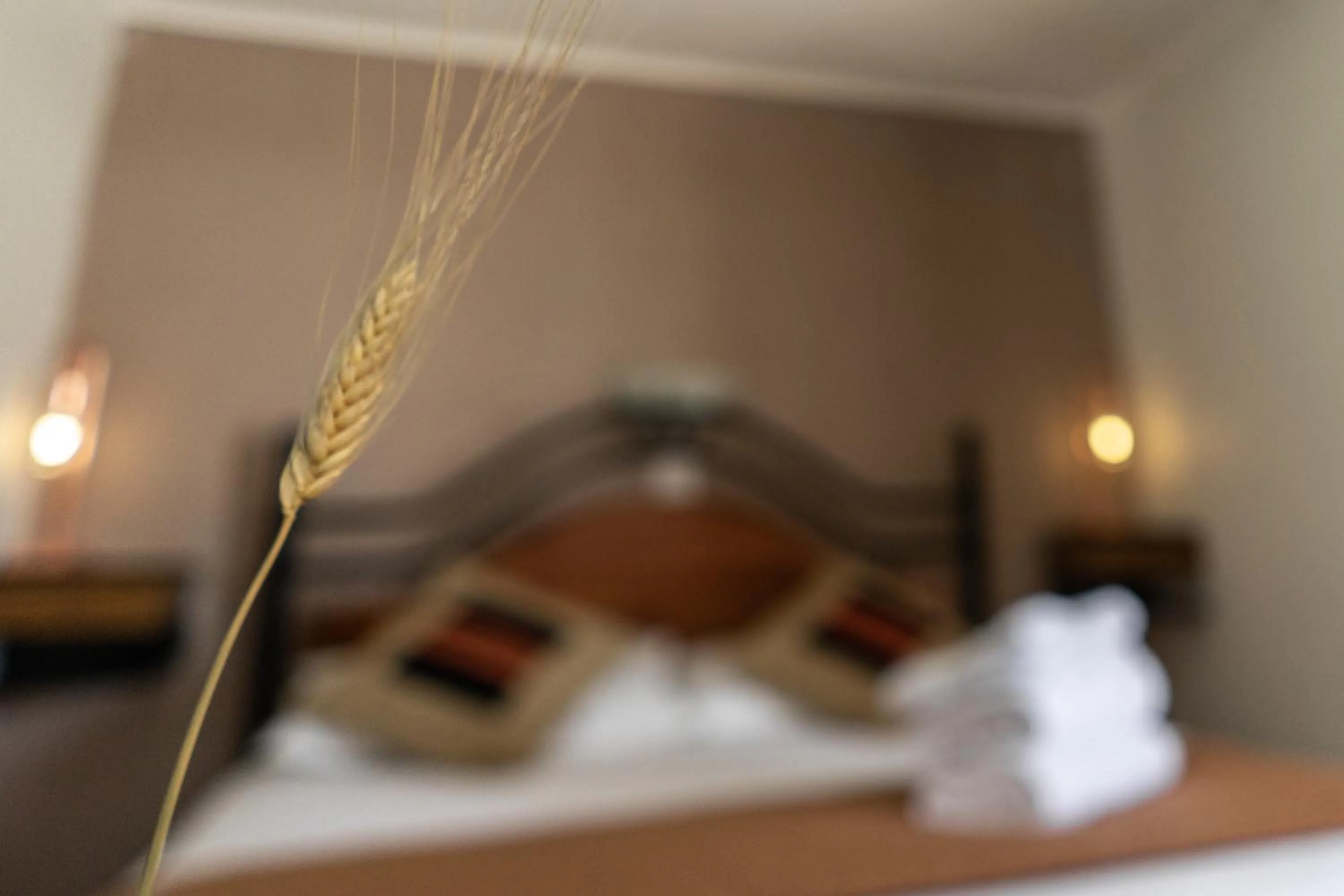 Photo of the whole room, Bed in Hostal Katarpe