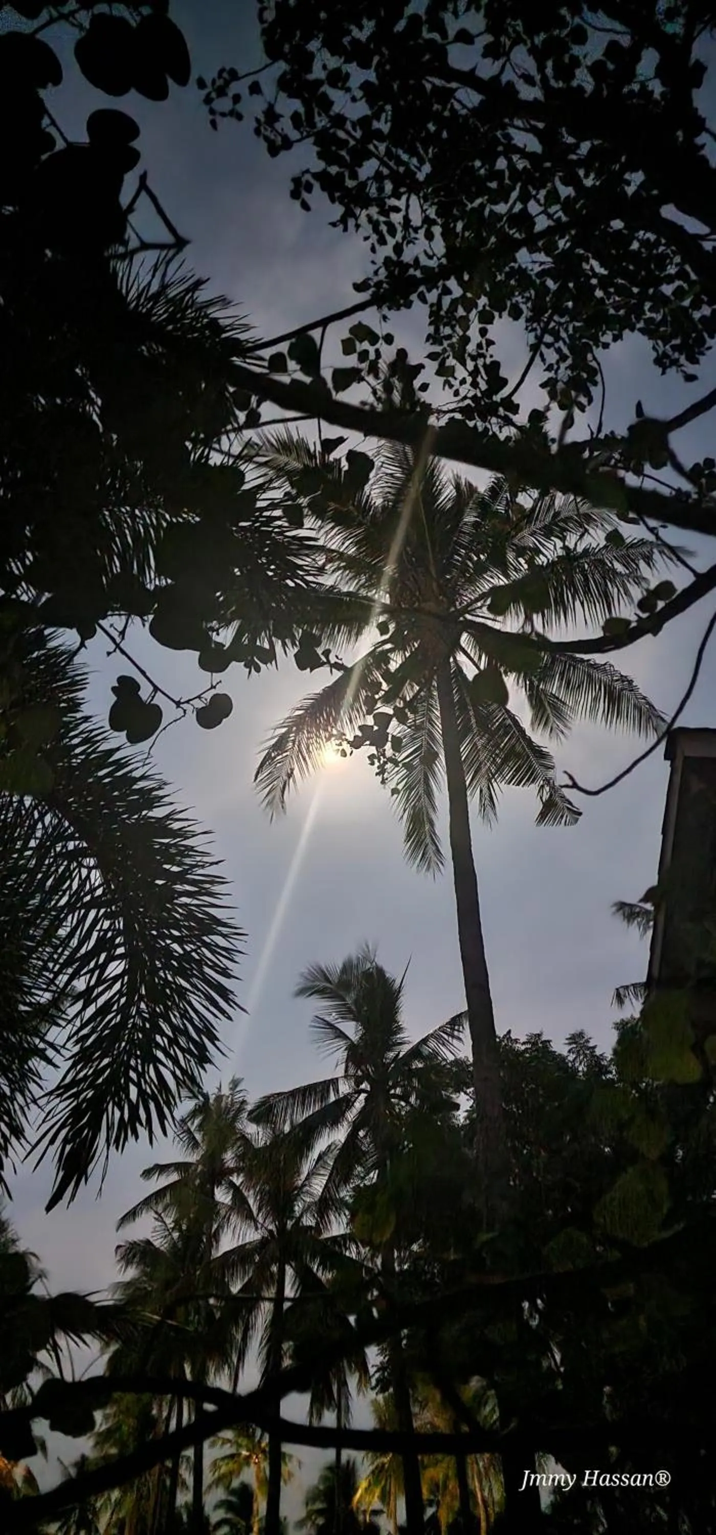 Day in Villas Light House - Eco-Traditional Joglo